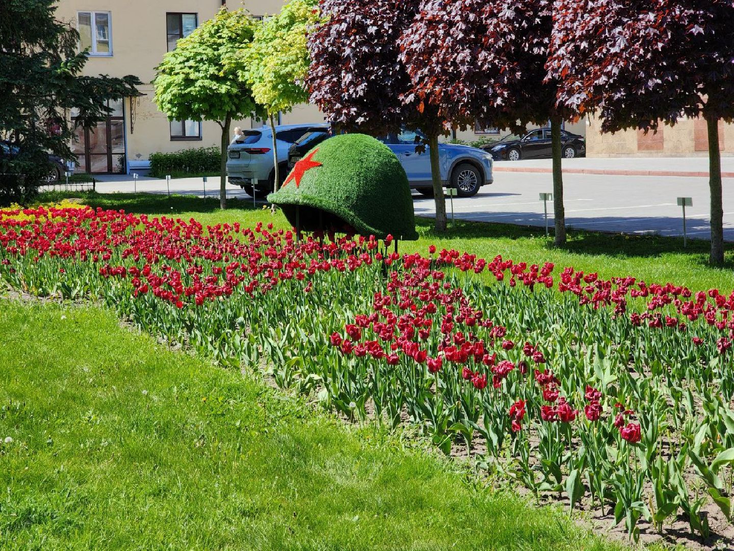 воскресенск, цветы, благоустройство, город,