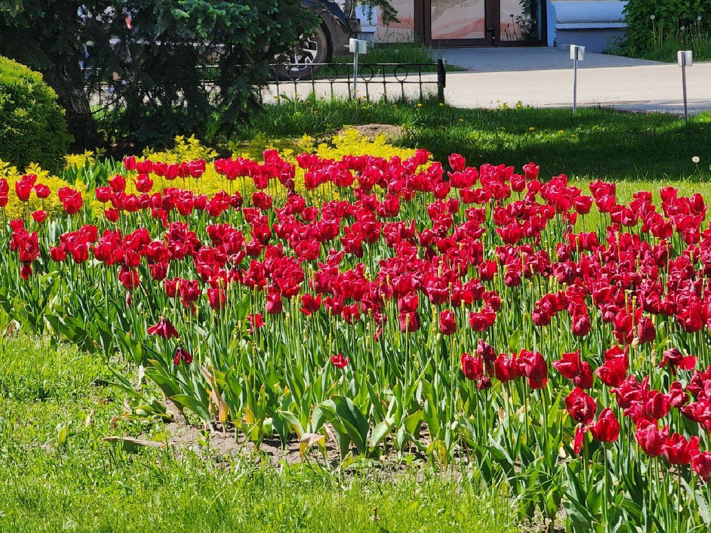 воскресенск, цветы, благоустройство, город,