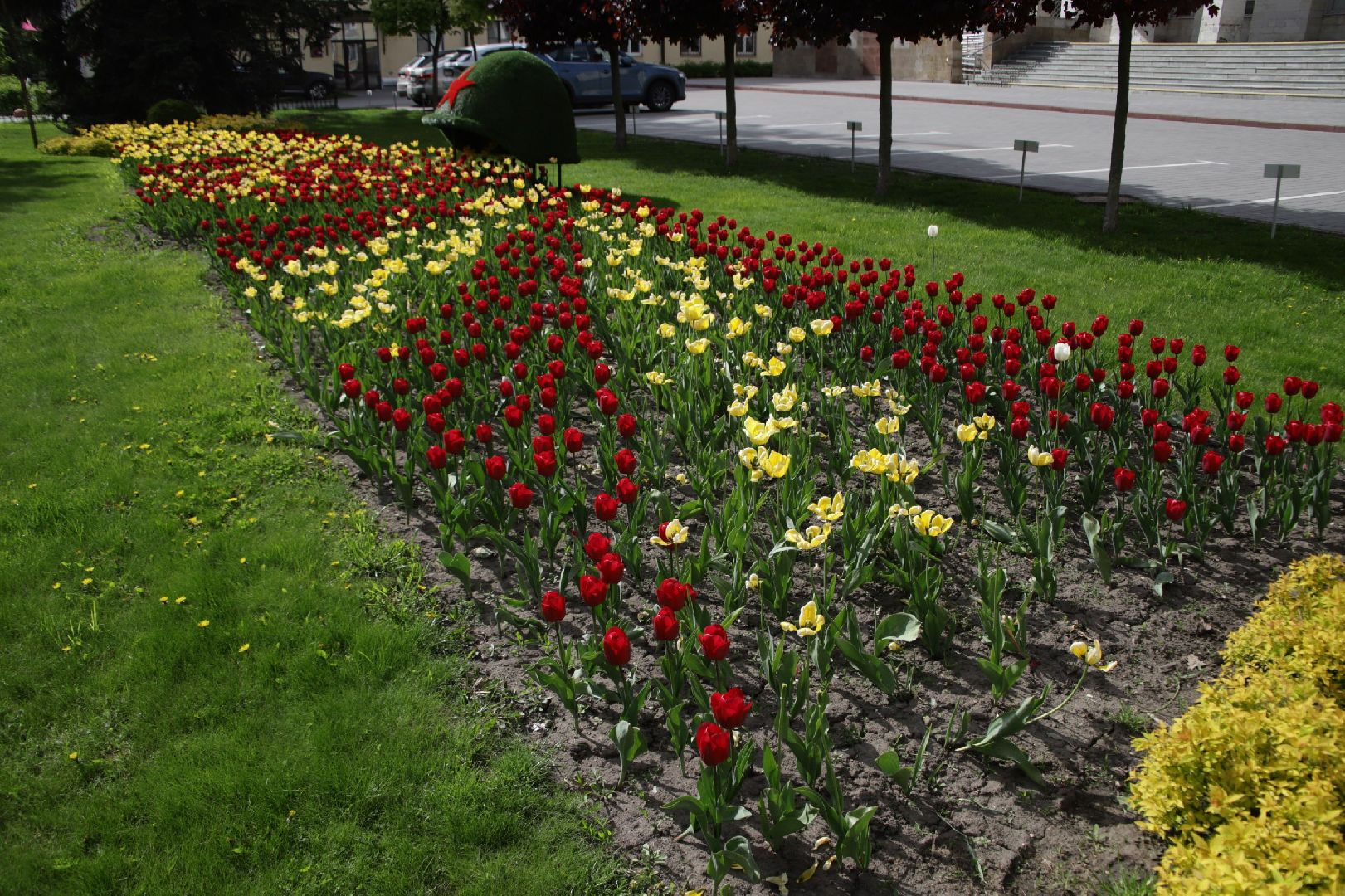 воскресенск, цветы, благоустройство, город,