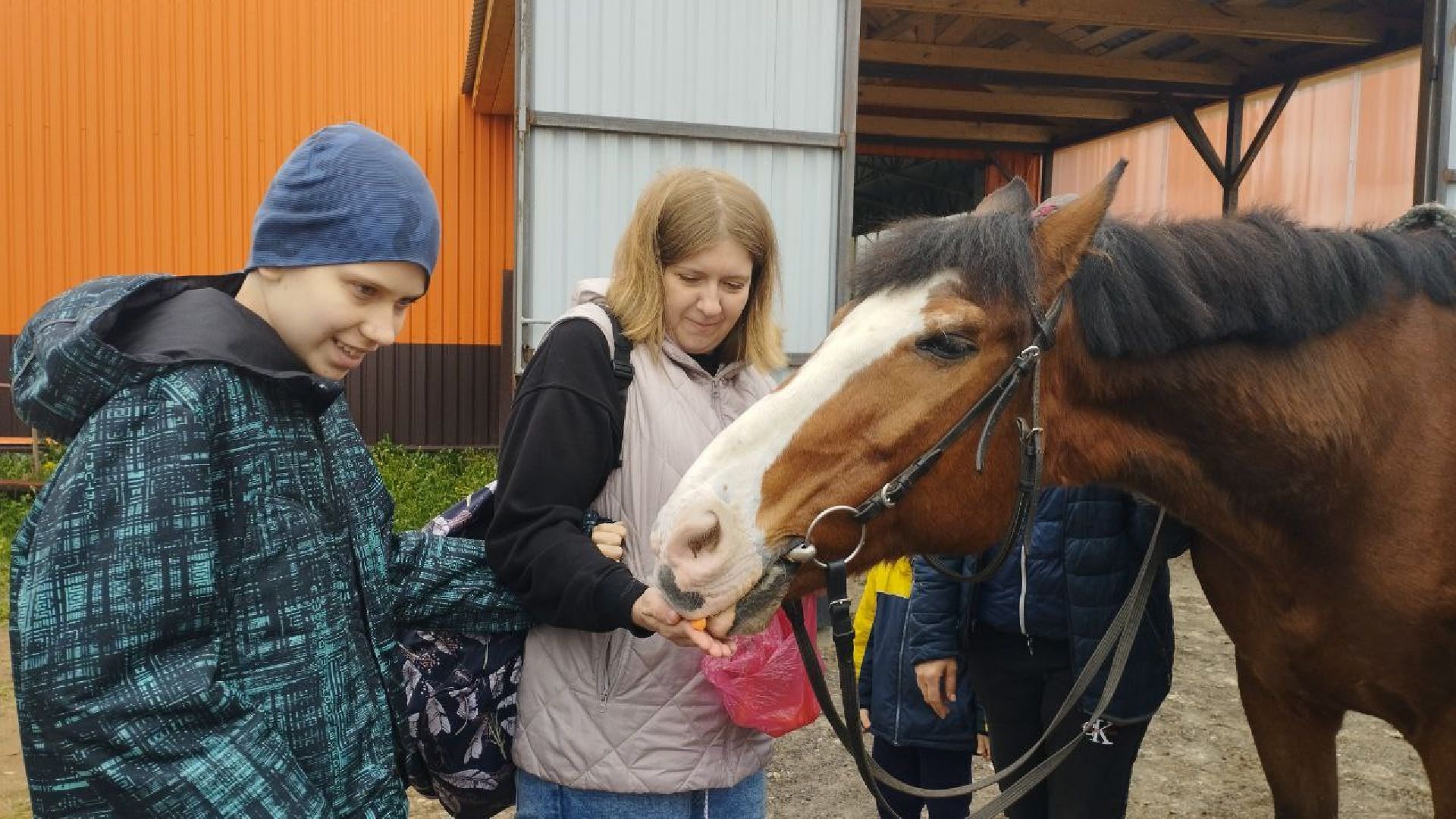 ивантеевка, центр социального обслуживания, иппотерапия, лошади, дети с овз, дети инвалиды,конный клуб,