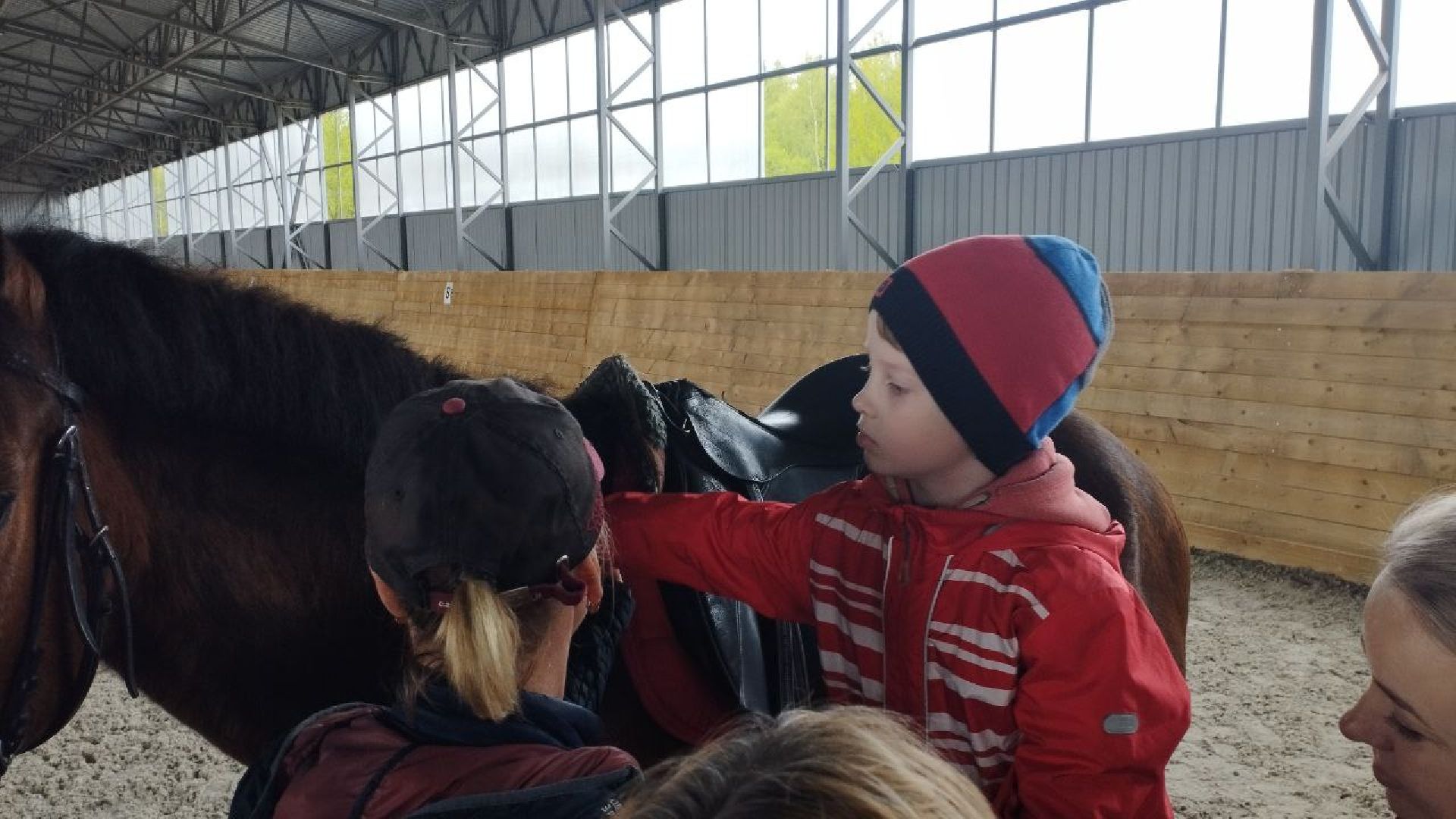 ивантеевка, центр социального обслуживания, иппотерапия, лошади, дети с овз, дети инвалиды,конный клуб,