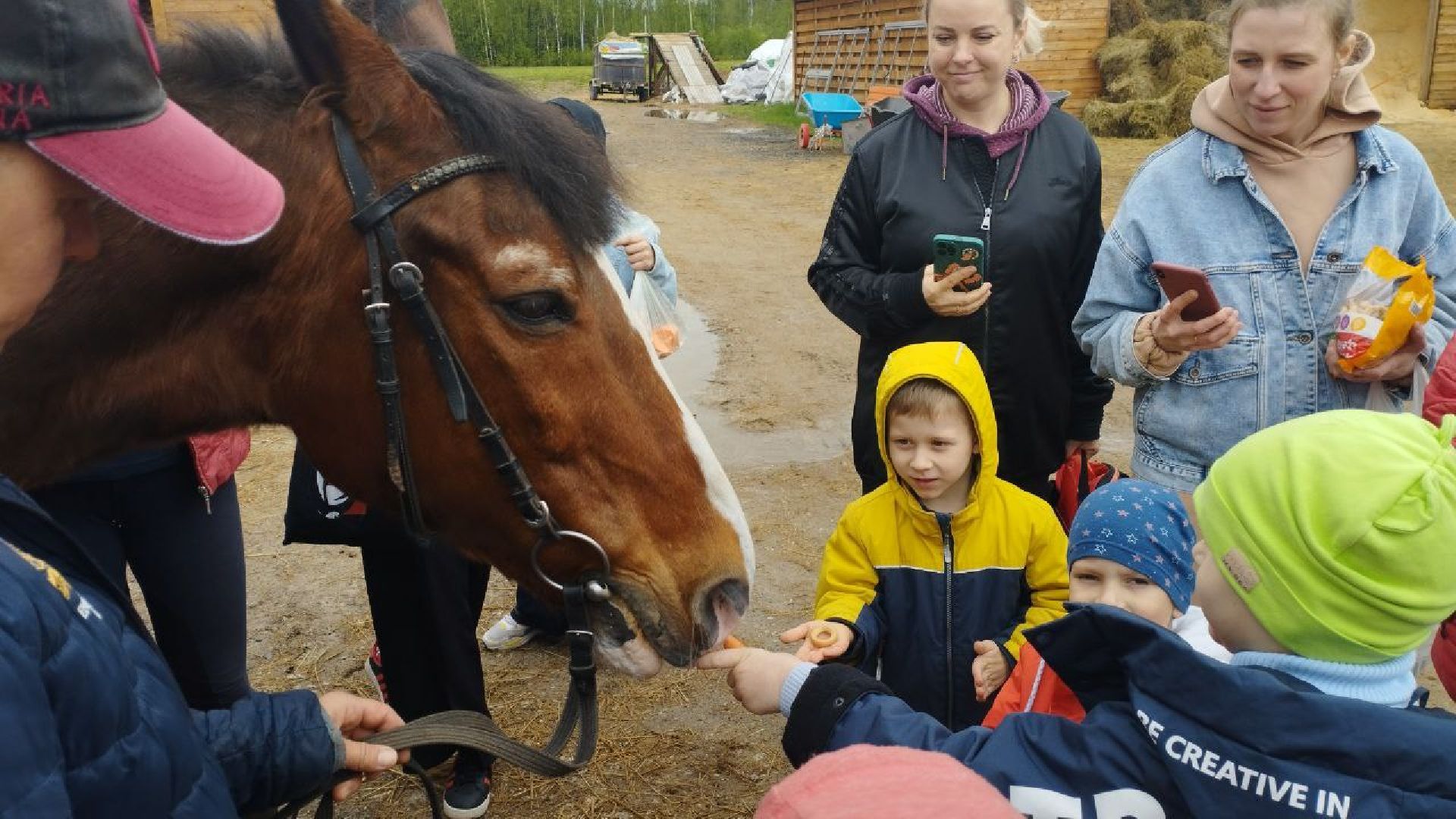 ивантеевка, центр социального обслуживания, иппотерапия, лошади, дети с овз, дети инвалиды,конный клуб,