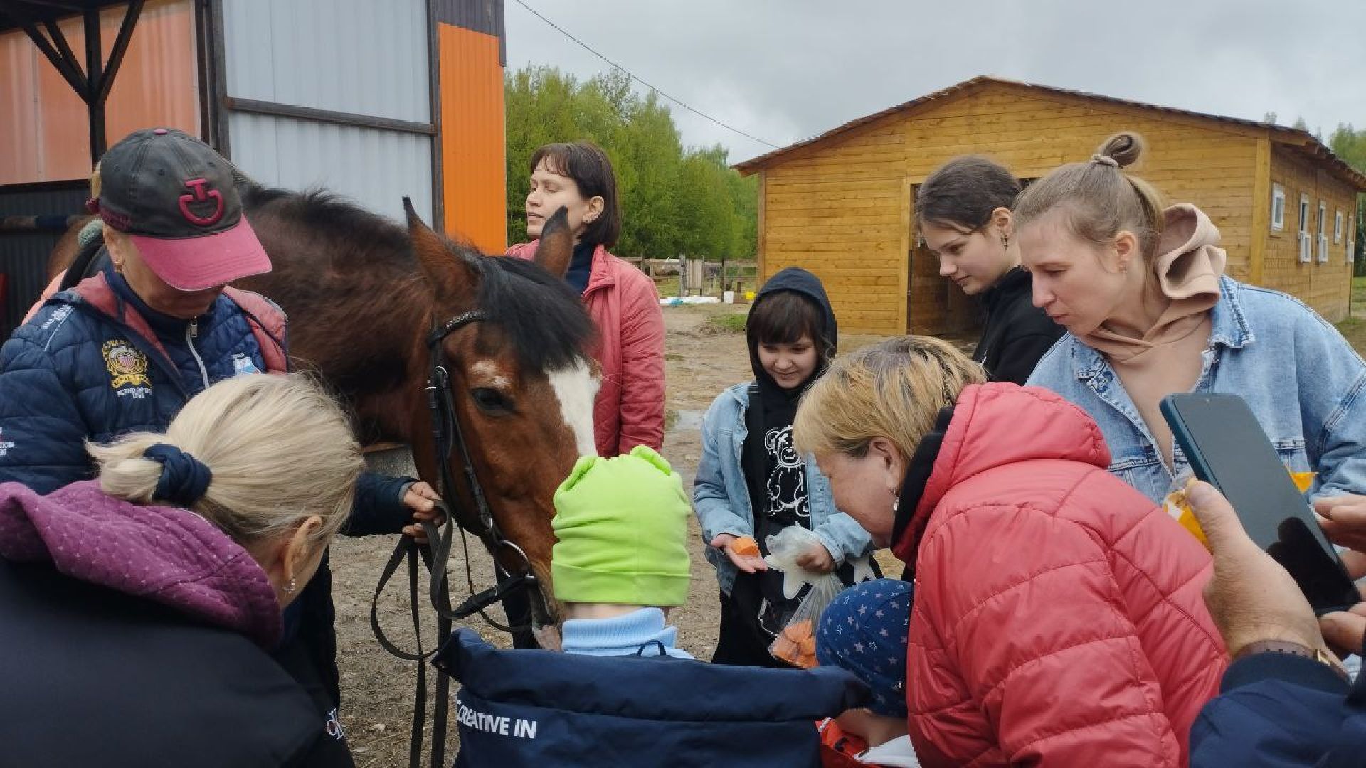 ивантеевка, центр социального обслуживания, иппотерапия, лошади, дети с овз, дети инвалиды,конный клуб,
