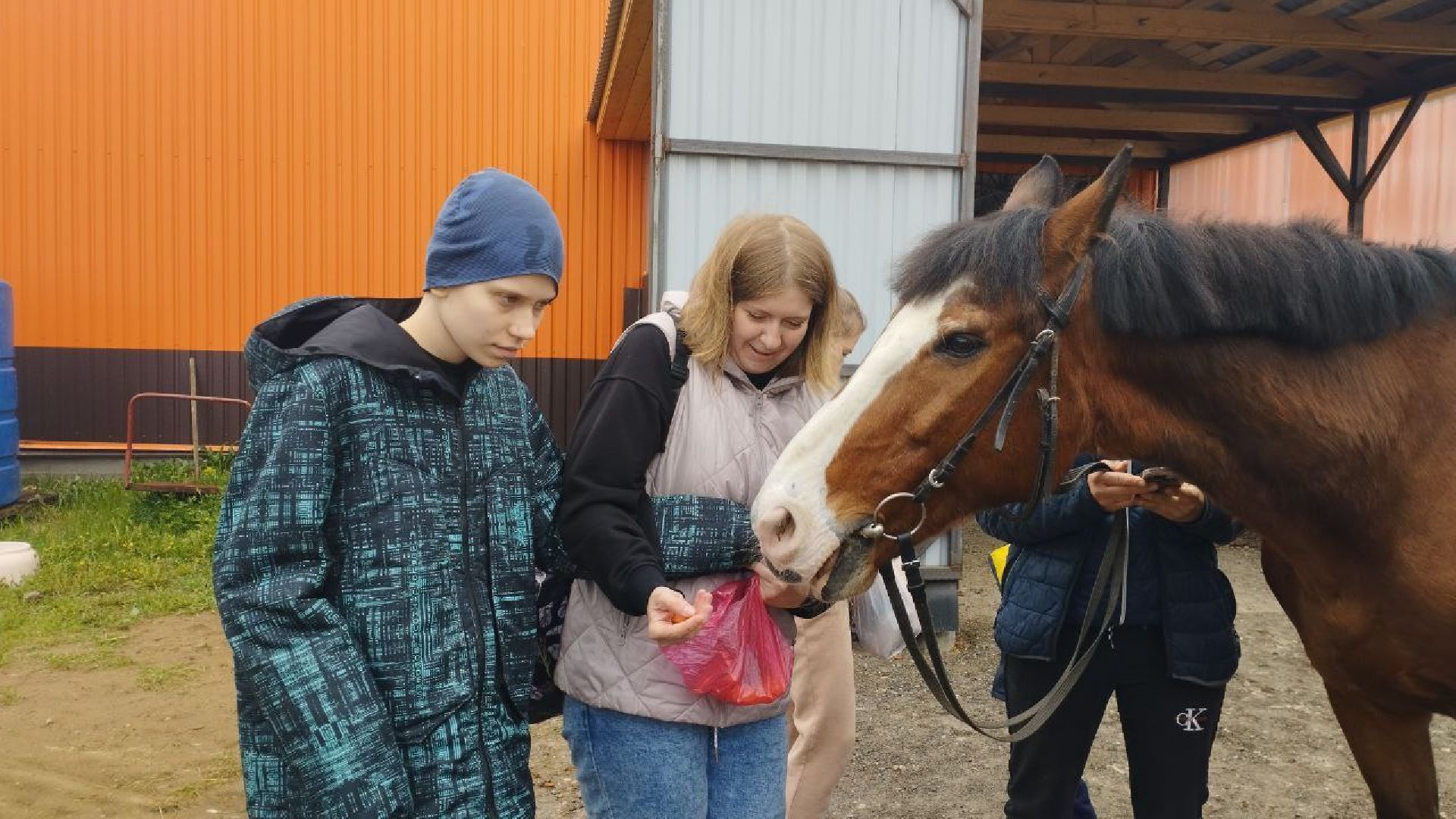ивантеевка, центр социального обслуживания, иппотерапия, лошади, дети с овз, дети инвалиды,конный клуб,