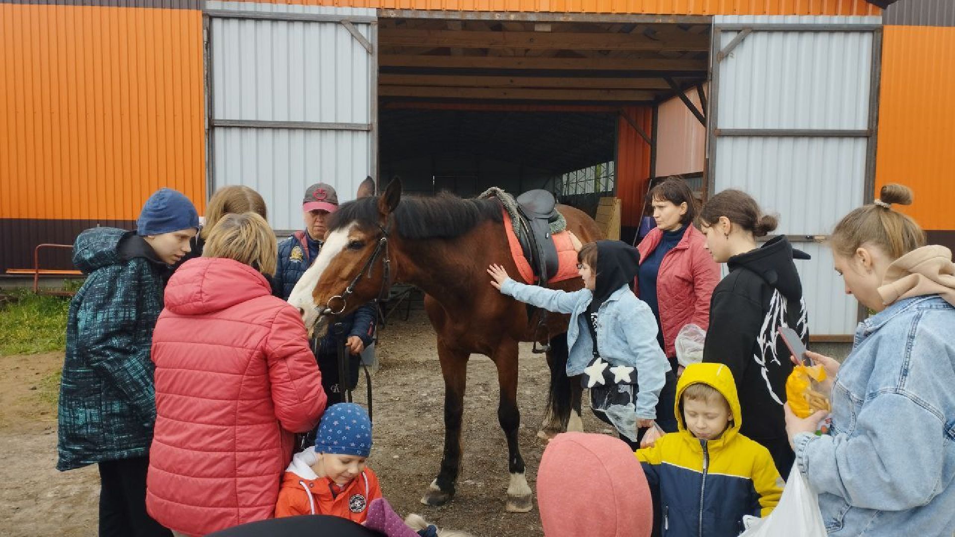 ивантеевка, центр социального обслуживания, иппотерапия, лошади, дети с овз, дети инвалиды,конный клуб,