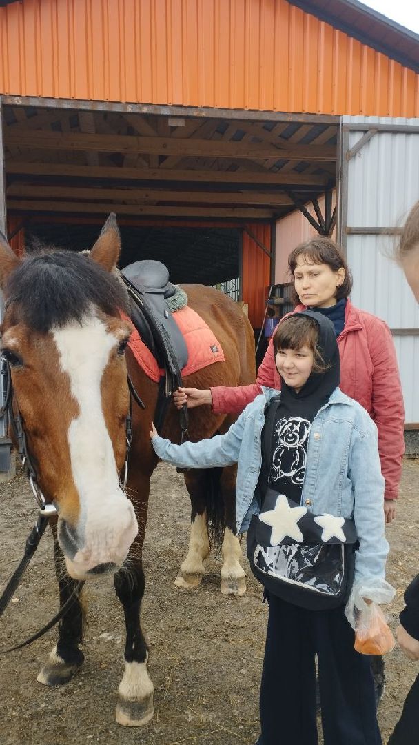 ивантеевка, центр социального обслуживания, иппотерапия, лошади, дети с овз, дети инвалиды,конный клуб,