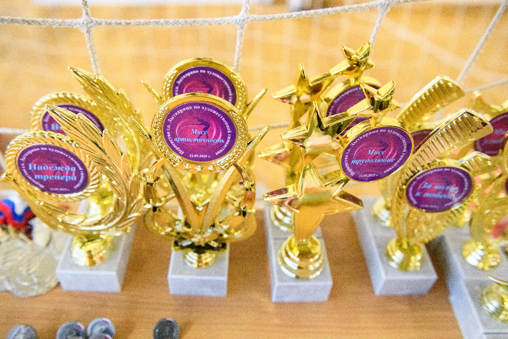 спорт, лыткарино, художественная гимнастика, арена лыткарино,