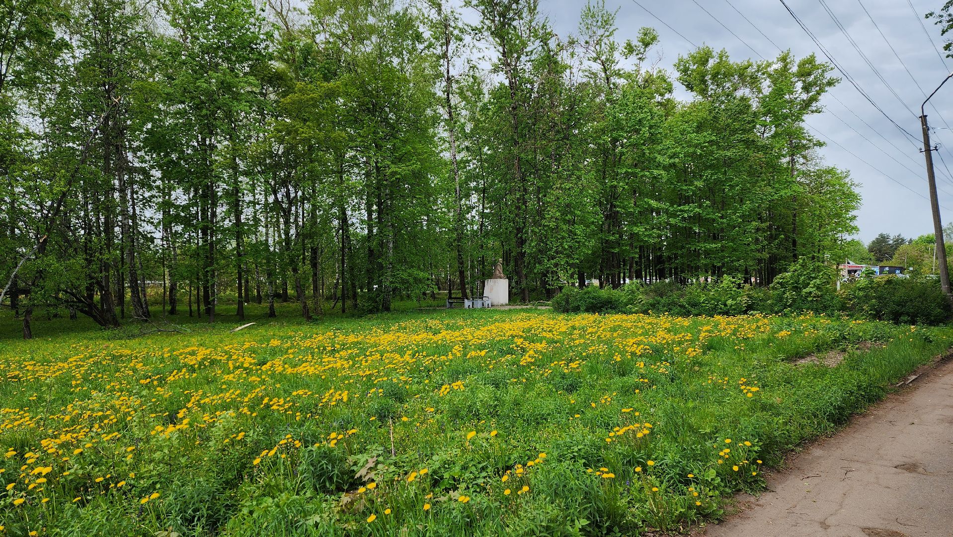 истра, благоустройство, голосование за благоустройство,