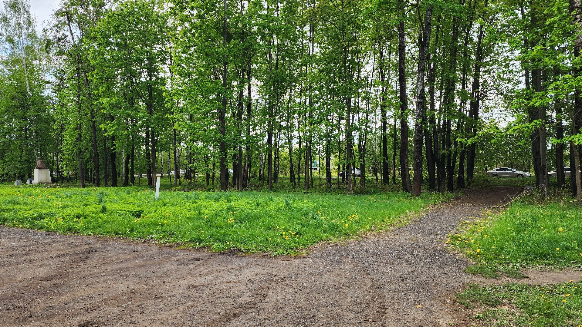 истра, благоустройство, голосование за благоустройство,