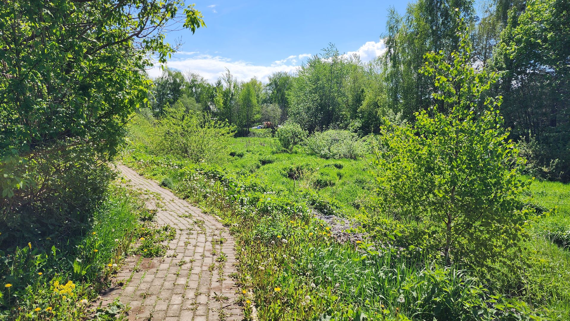 истра, благоустройство, голосование за благоустройство,