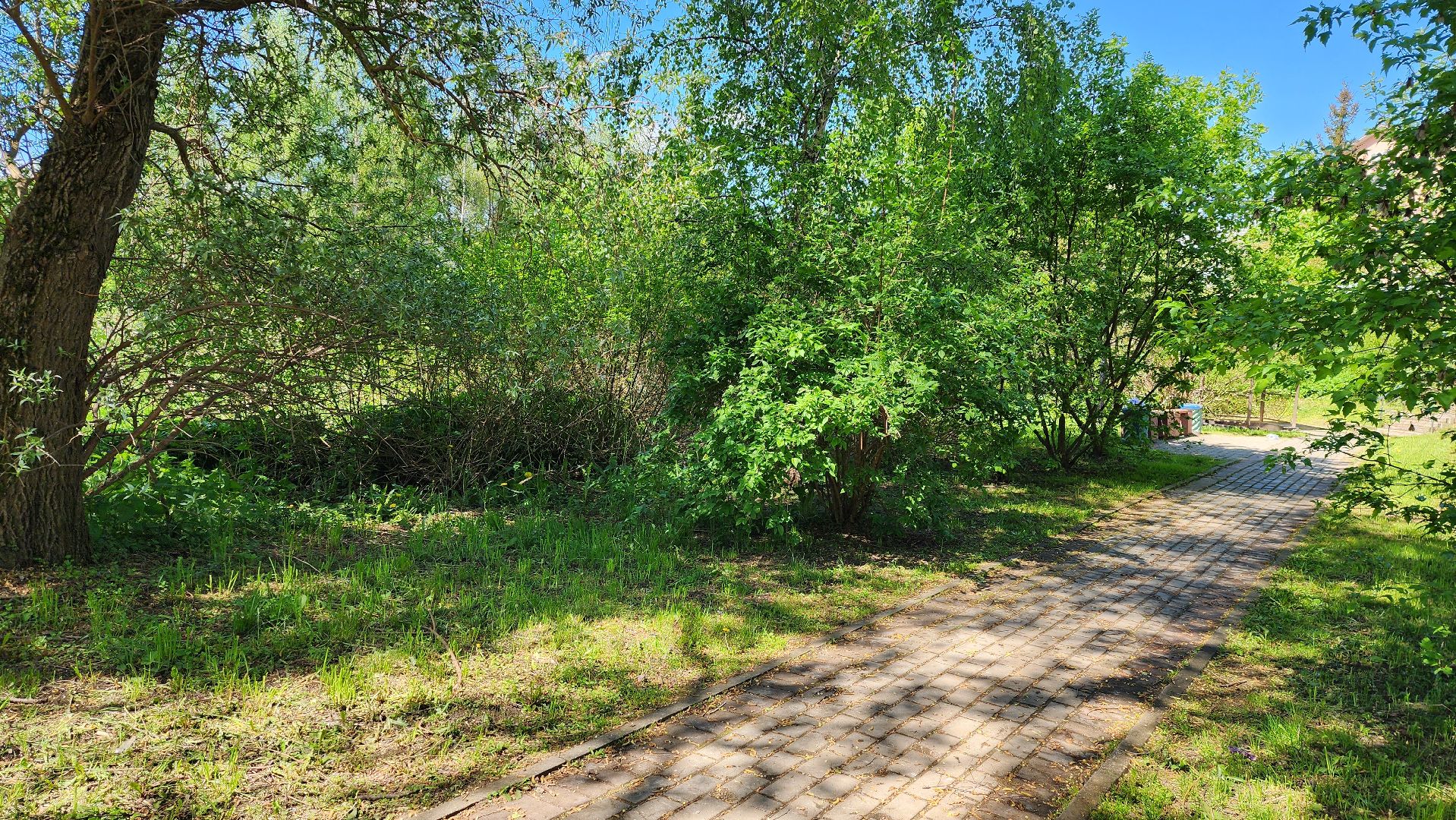 истра, благоустройство, голосование за благоустройство,