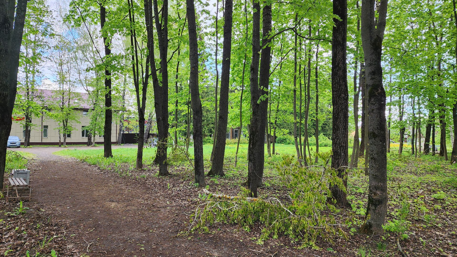 истра, благоустройство, голосование за благоустройство,
