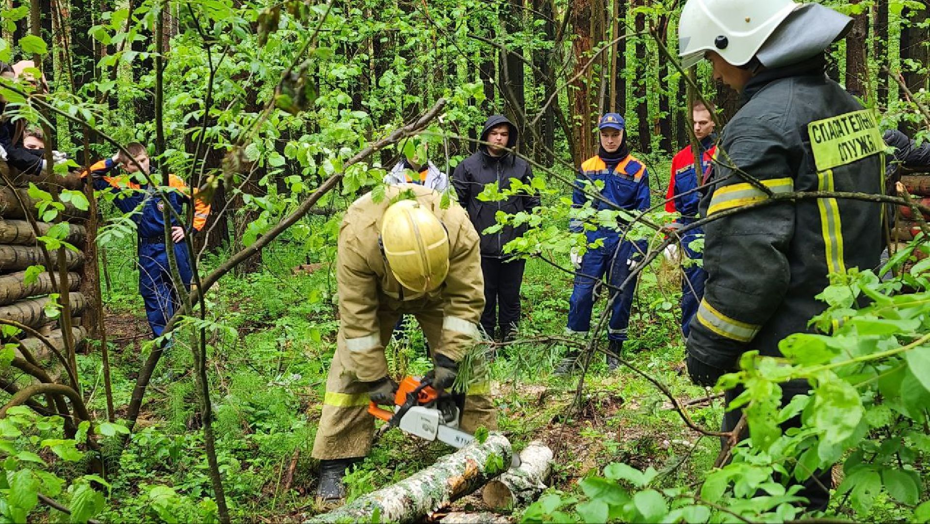 Дмитров, ЦЗВС, Дмитровский техникум, Благоустройство, Спасатели,