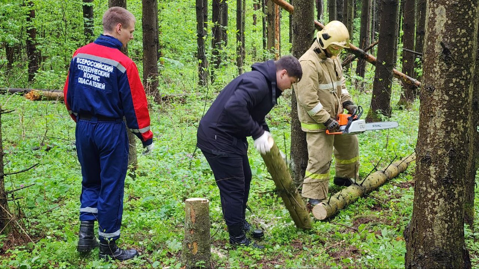 Дмитров, ЦЗВС, Дмитровский техникум, Благоустройство, Спасатели,