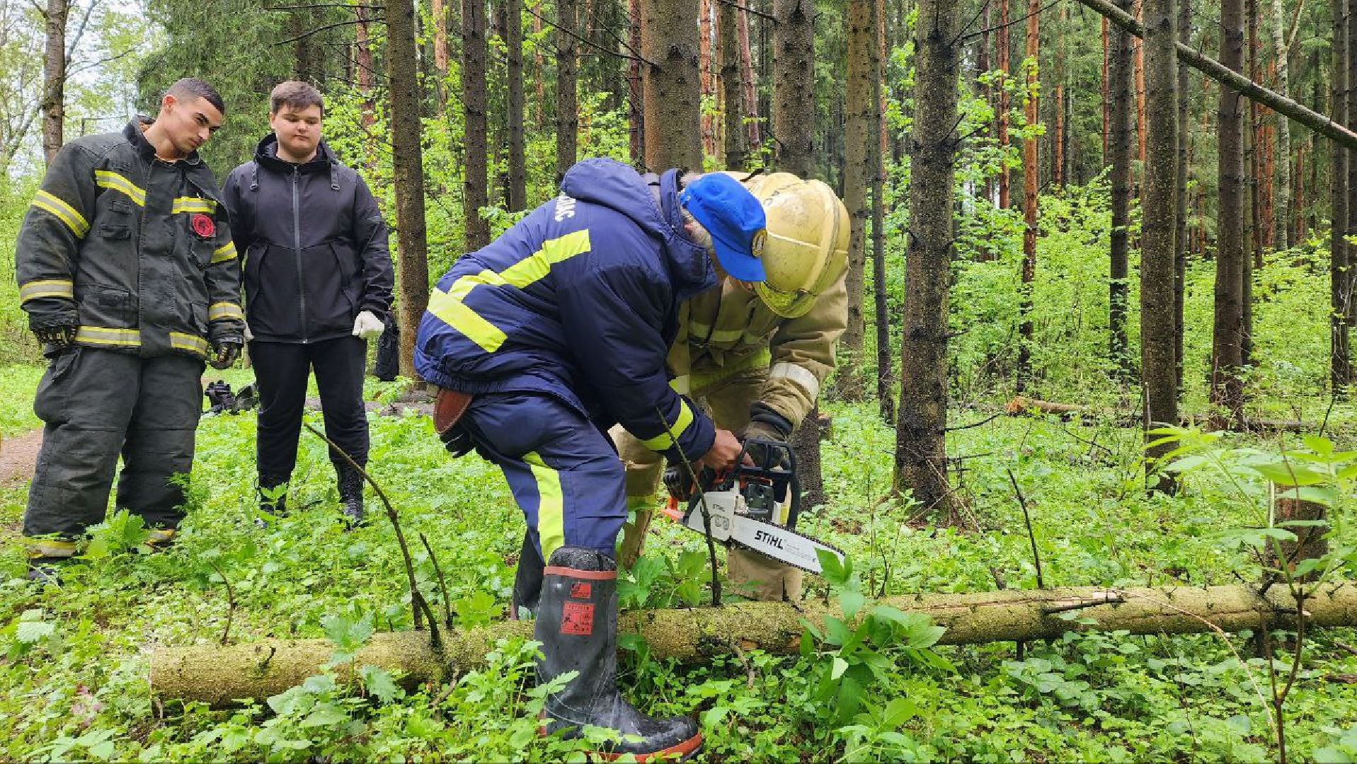 Дмитров, ЦЗВС, Дмитровский техникум, Благоустройство, Спасатели,