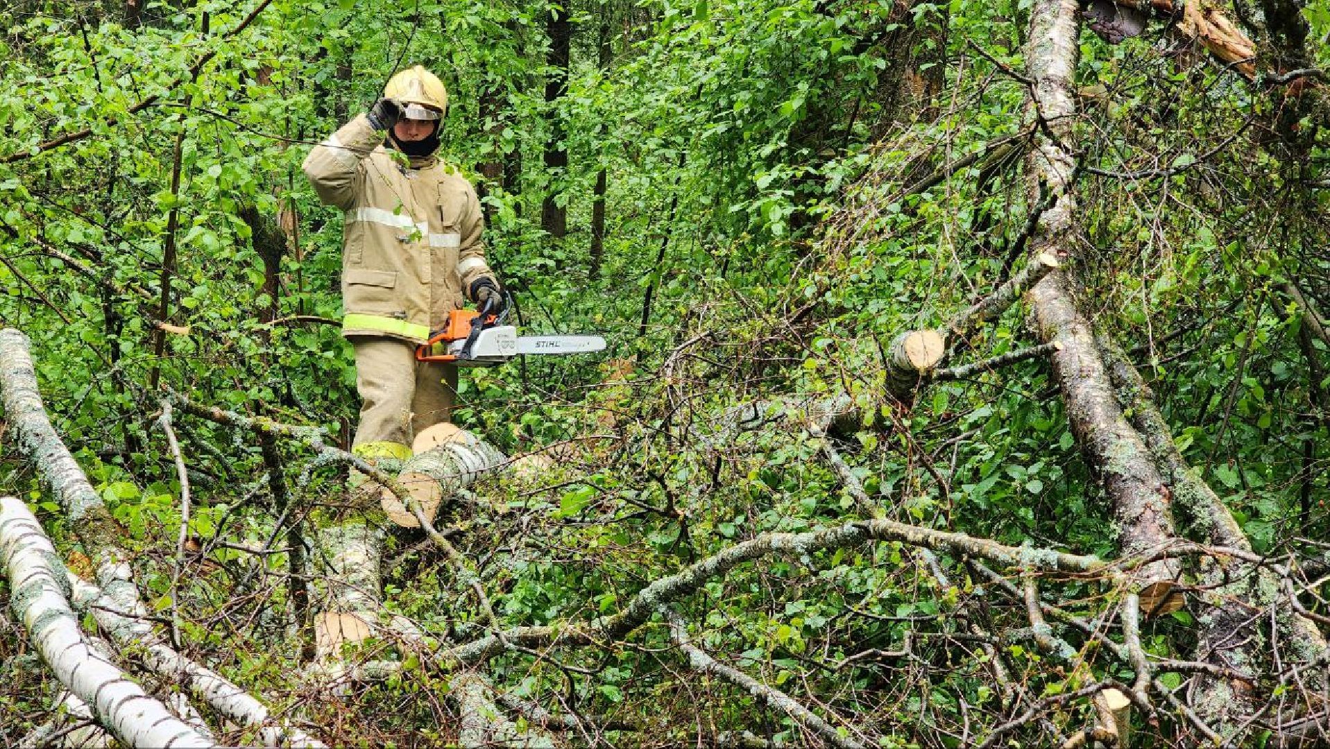 Дмитров, ЦЗВС, Дмитровский техникум, Благоустройство, Спасатели,
