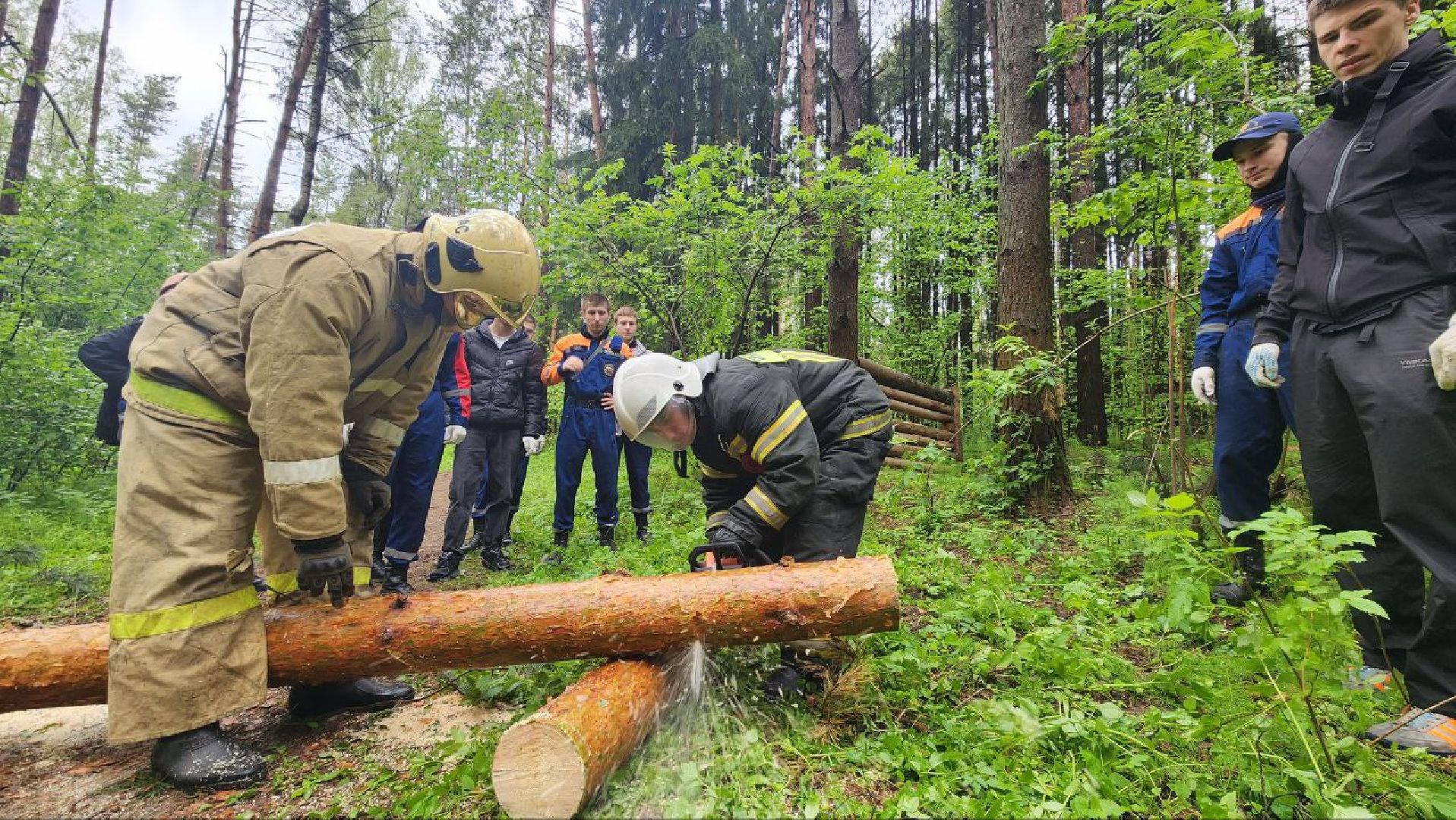 Дмитров, ЦЗВС, Дмитровский техникум, Благоустройство, Спасатели,