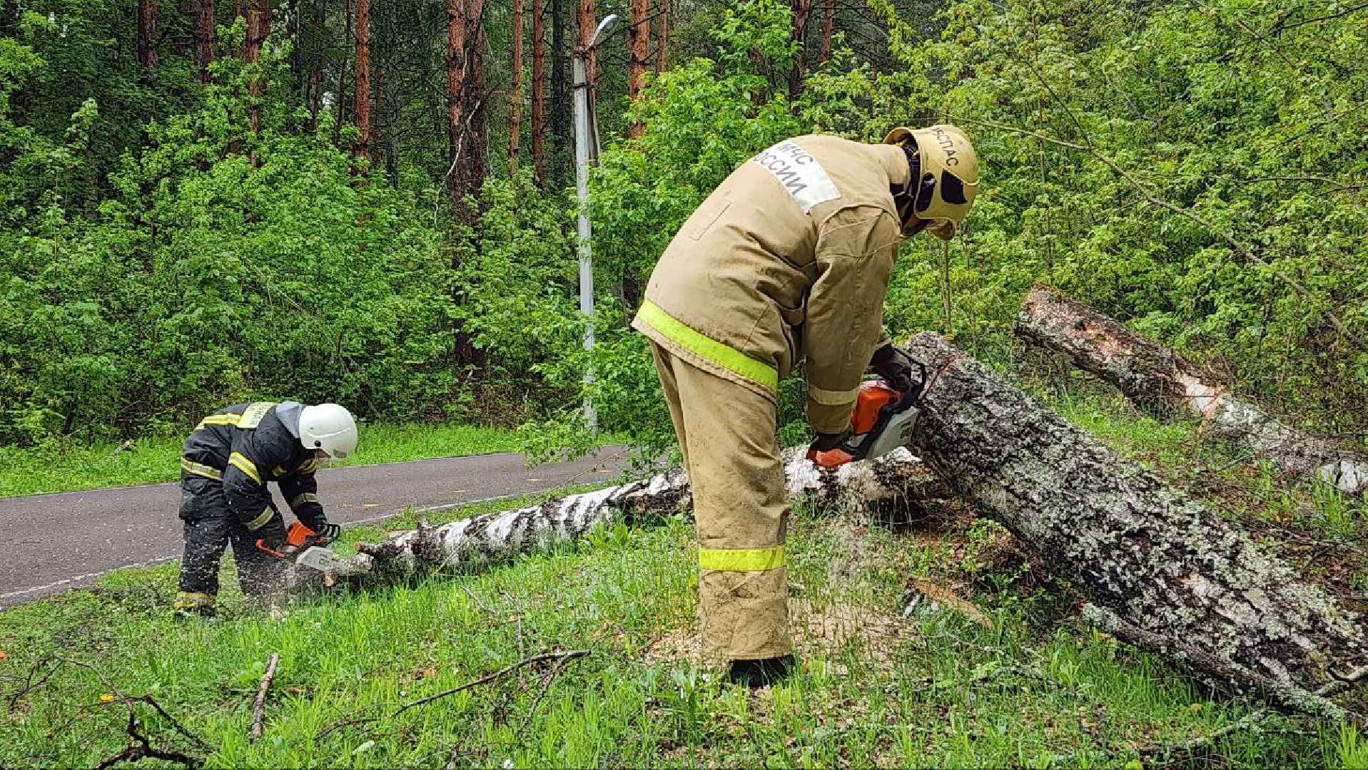 Дмитров, ЦЗВС, Дмитровский техникум, Благоустройство, Спасатели,