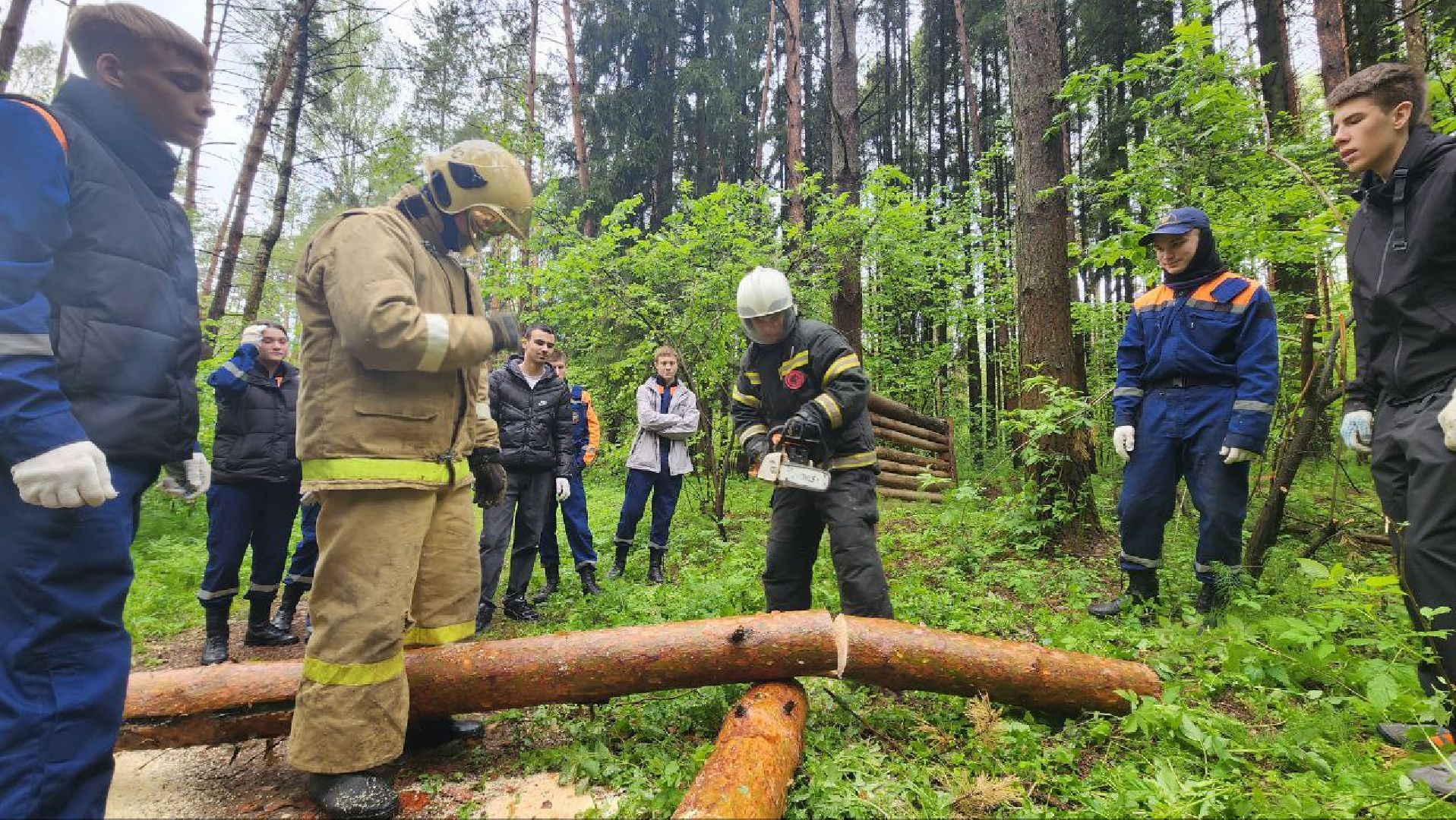 Дмитров, ЦЗВС, Дмитровский техникум, Благоустройство, Спасатели,