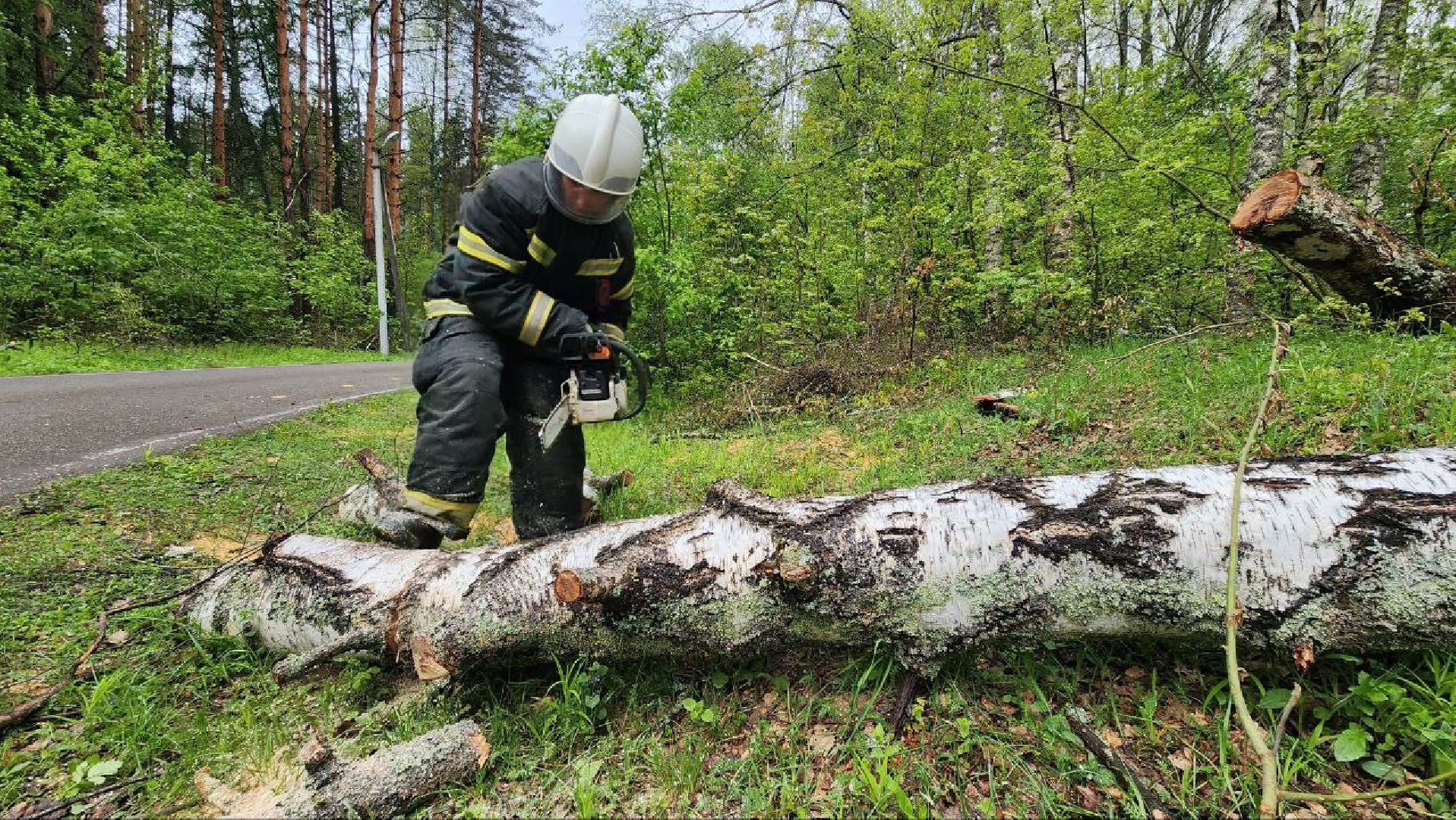 Дмитров, ЦЗВС, Дмитровский техникум, Благоустройство, Спасатели,