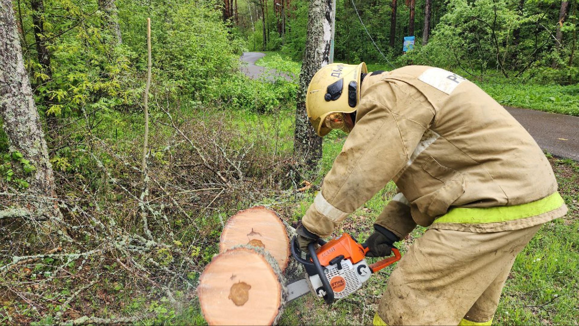 Дмитров, ЦЗВС, Дмитровский техникум, Благоустройство, Спасатели,
