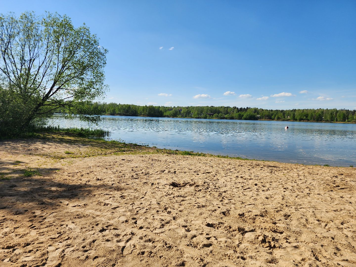 фрязино, пляж, летний отдых, пляжный сезон,