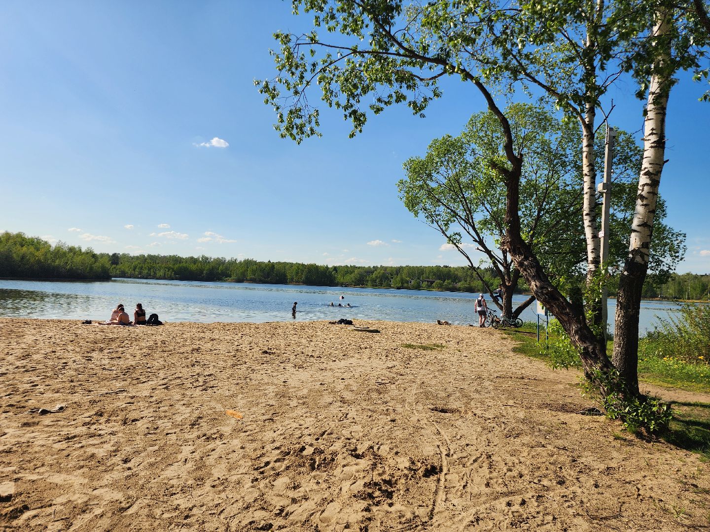 фрязино, пляж, летний отдых, пляжный сезон,
