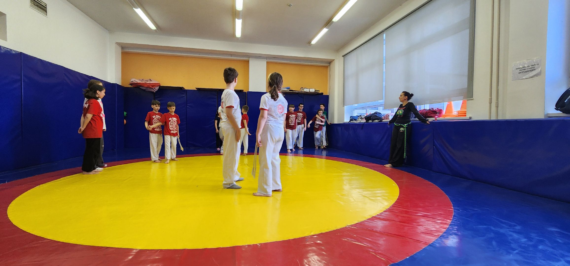 Химки , Спорт , Капоэйра,боевые искусства,