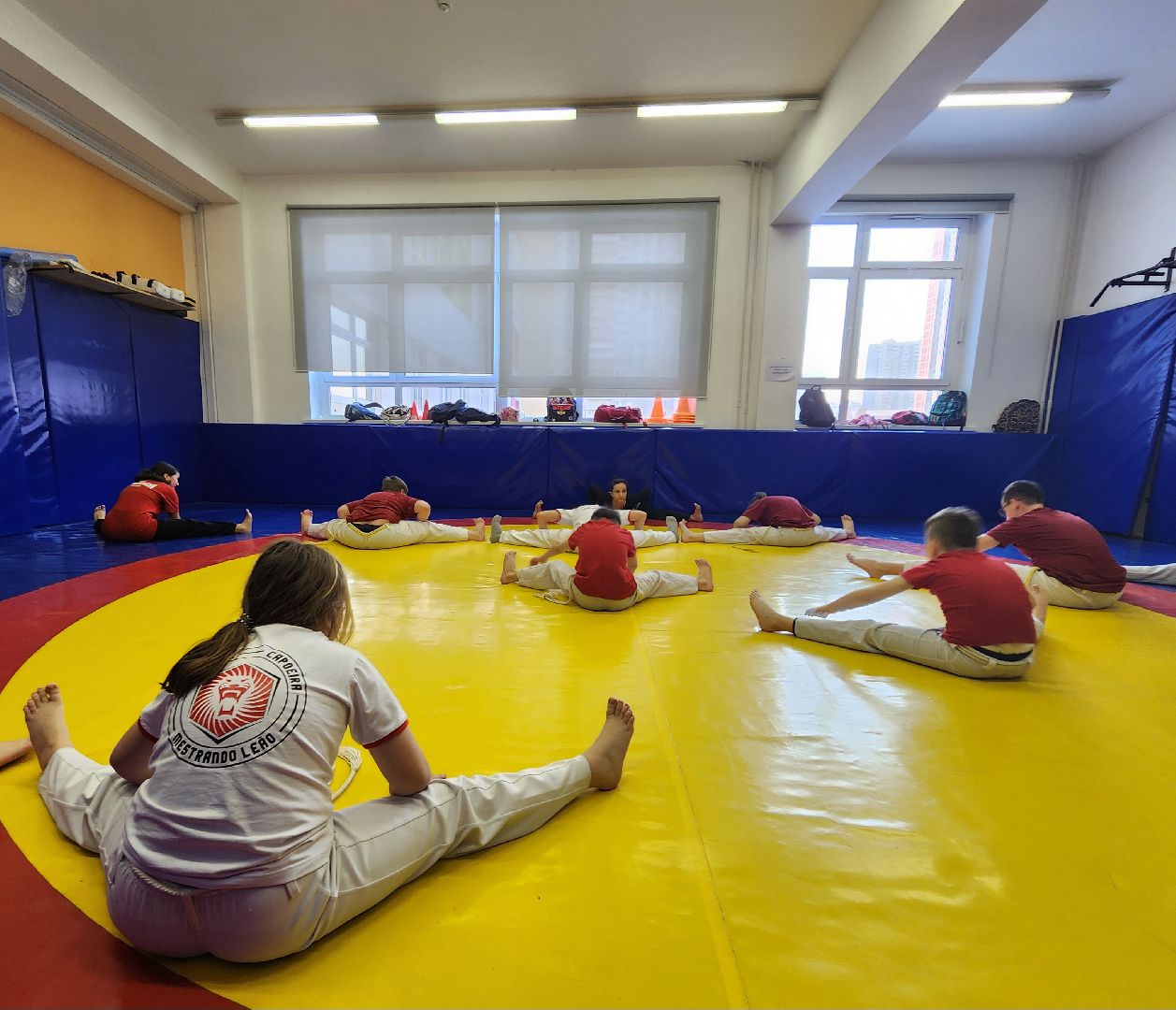 Химки , Спорт , Капоэйра,боевые искусства,