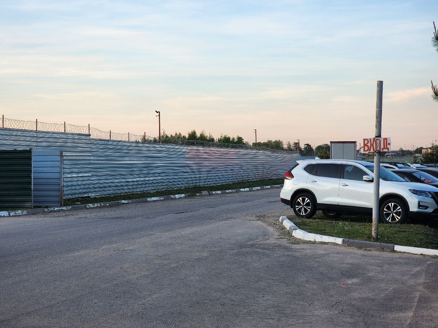 лось, дикое, животное,