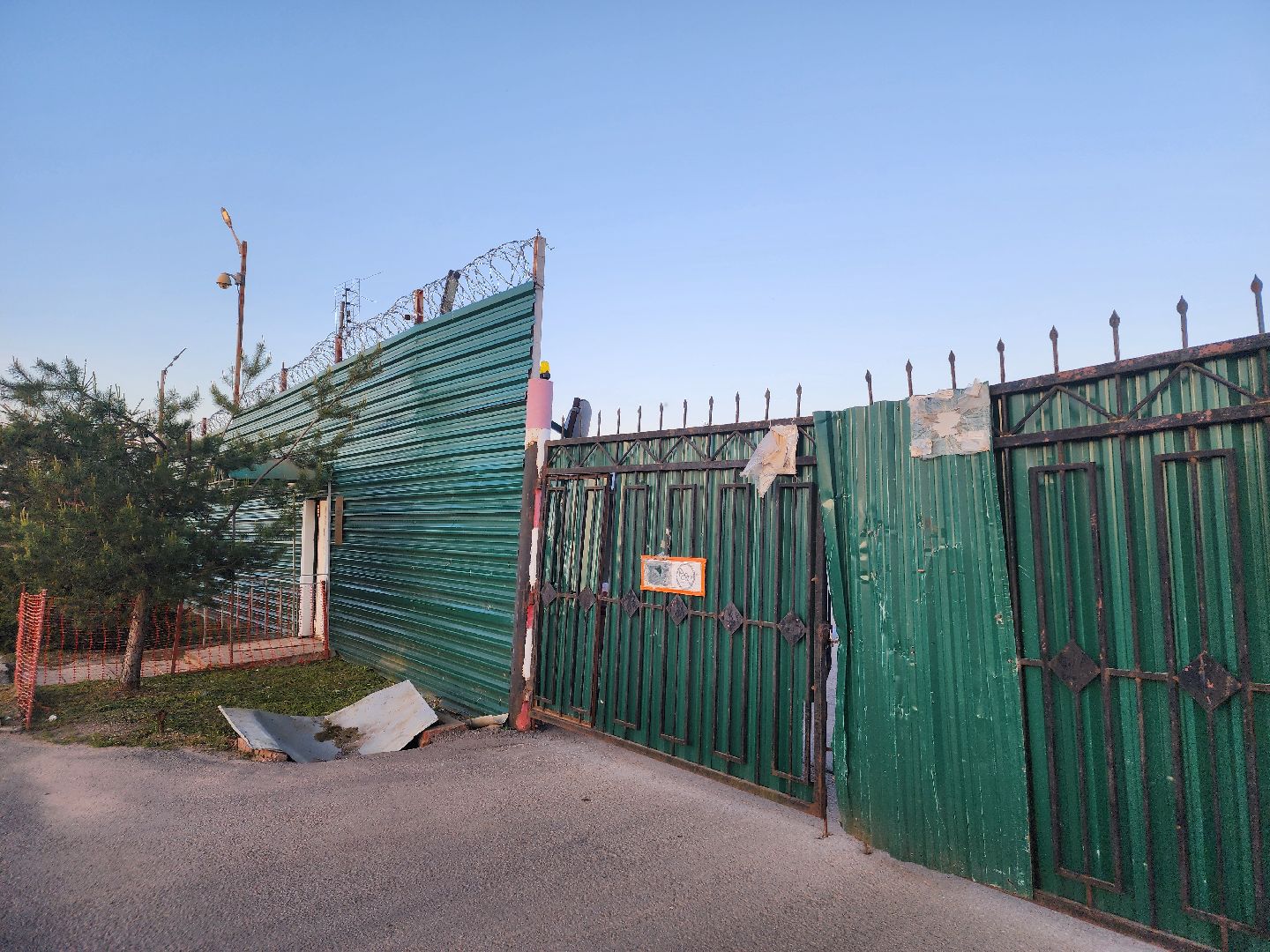 лось, дикое, животное,