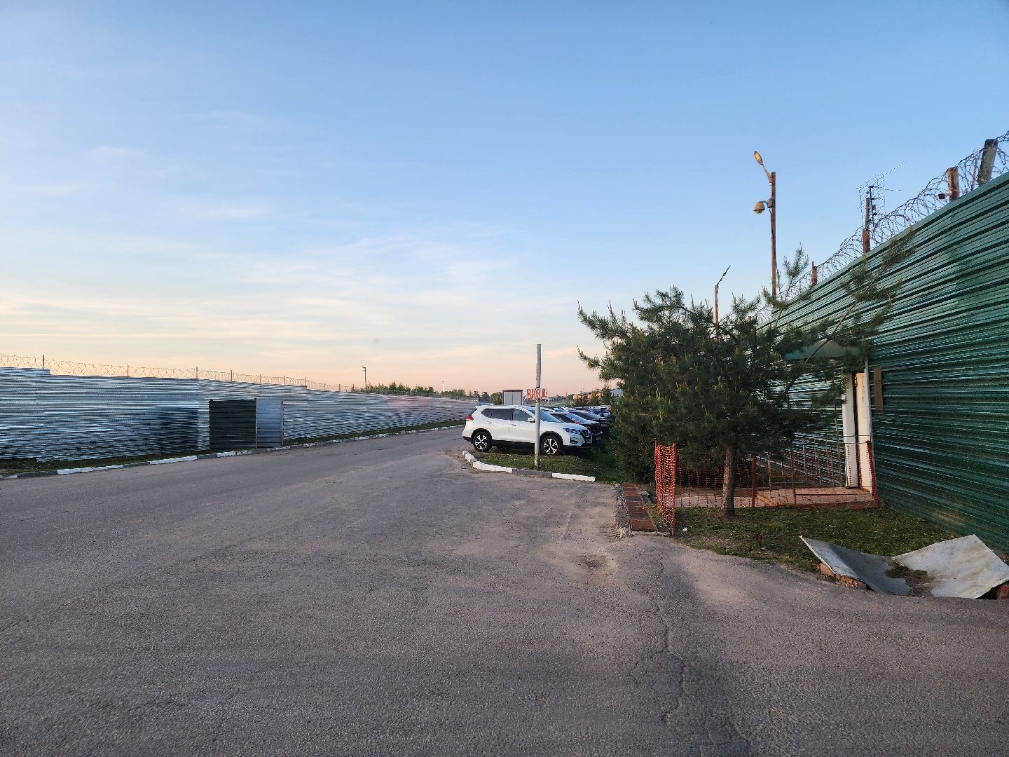 лось, дикое, животное,