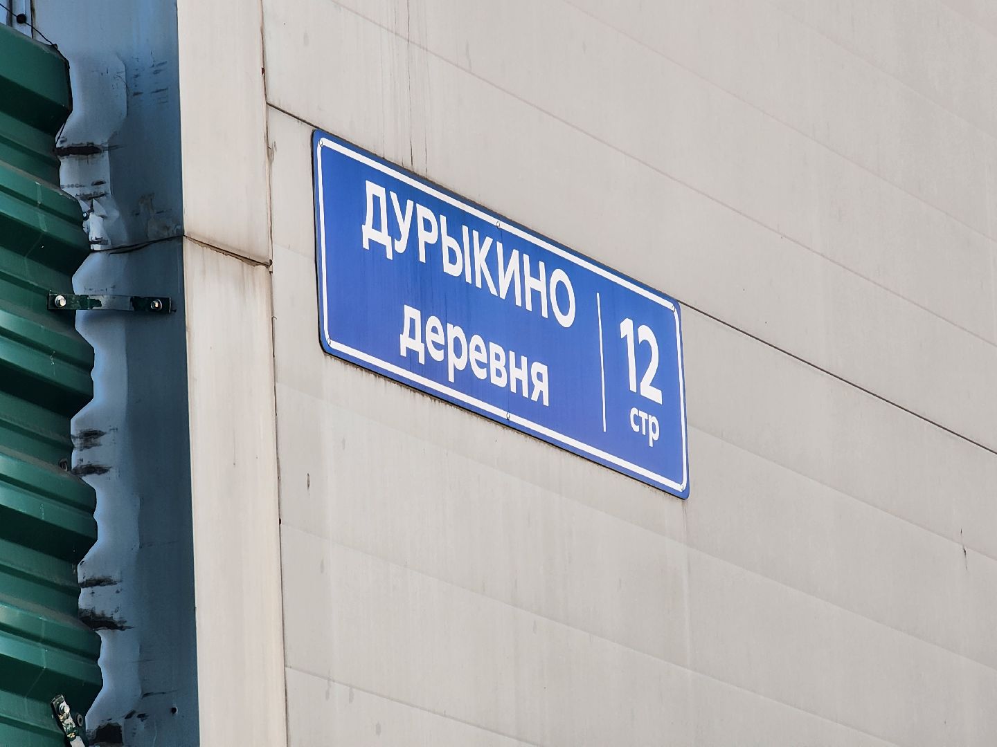 лось, дикое, животное,