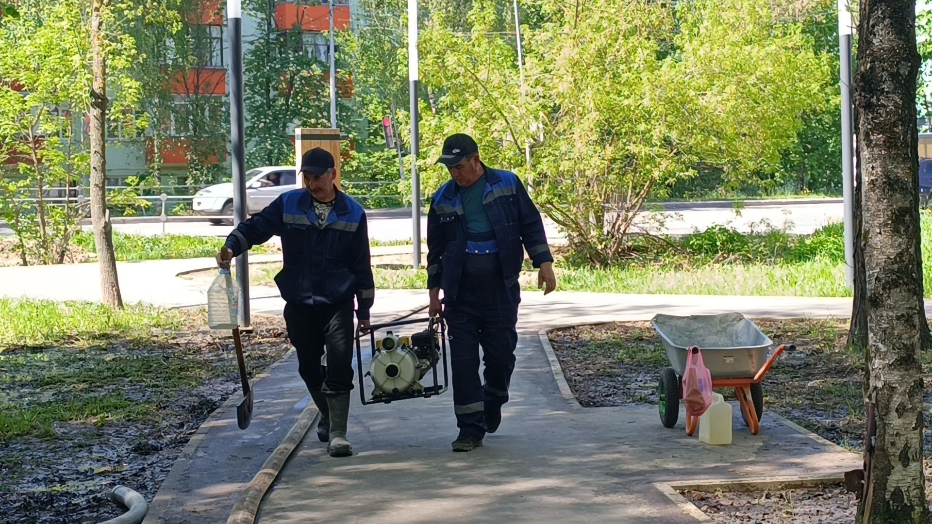 благоустройство, парк, лобня,