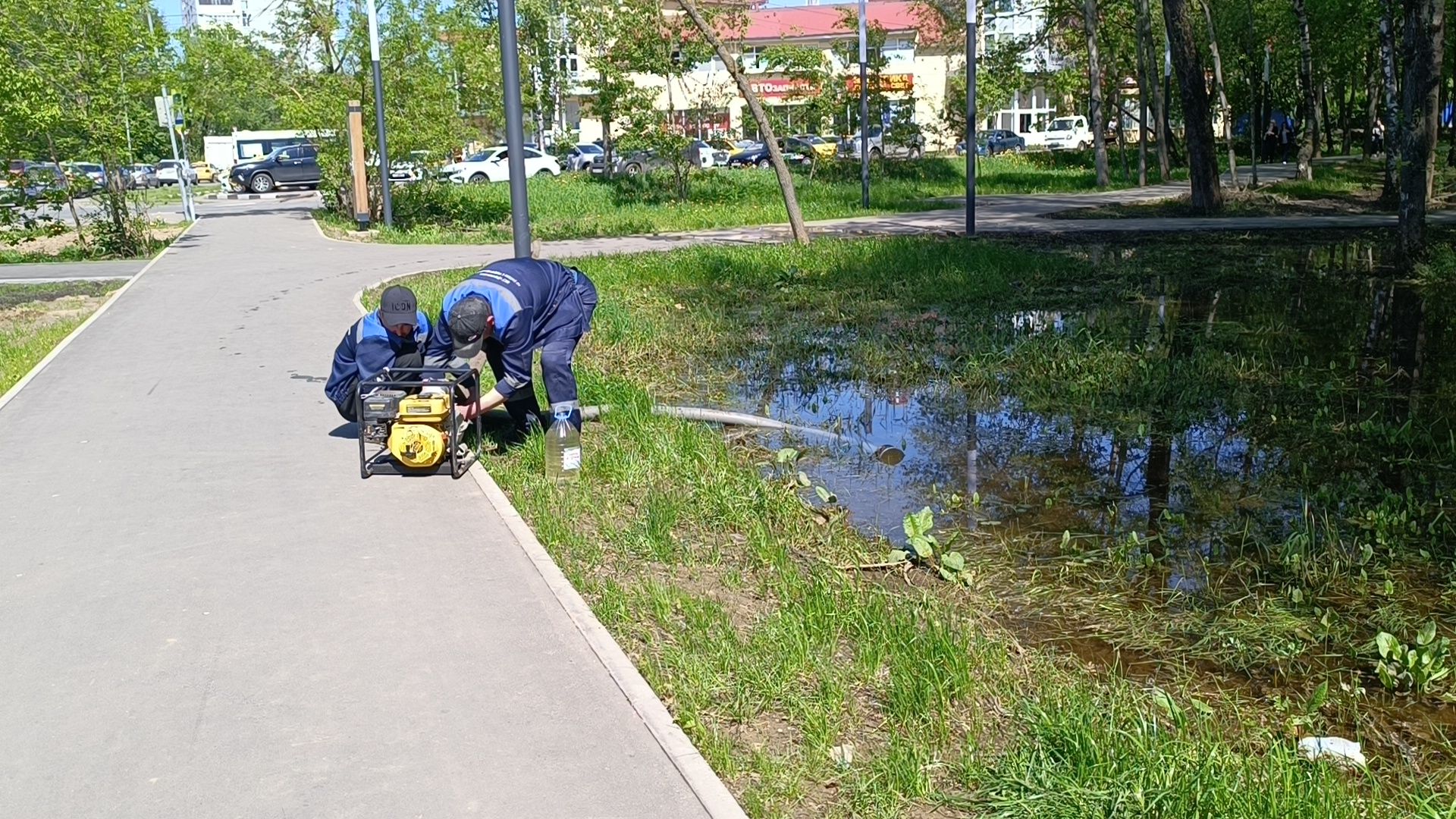 благоустройство, парк, лобня,