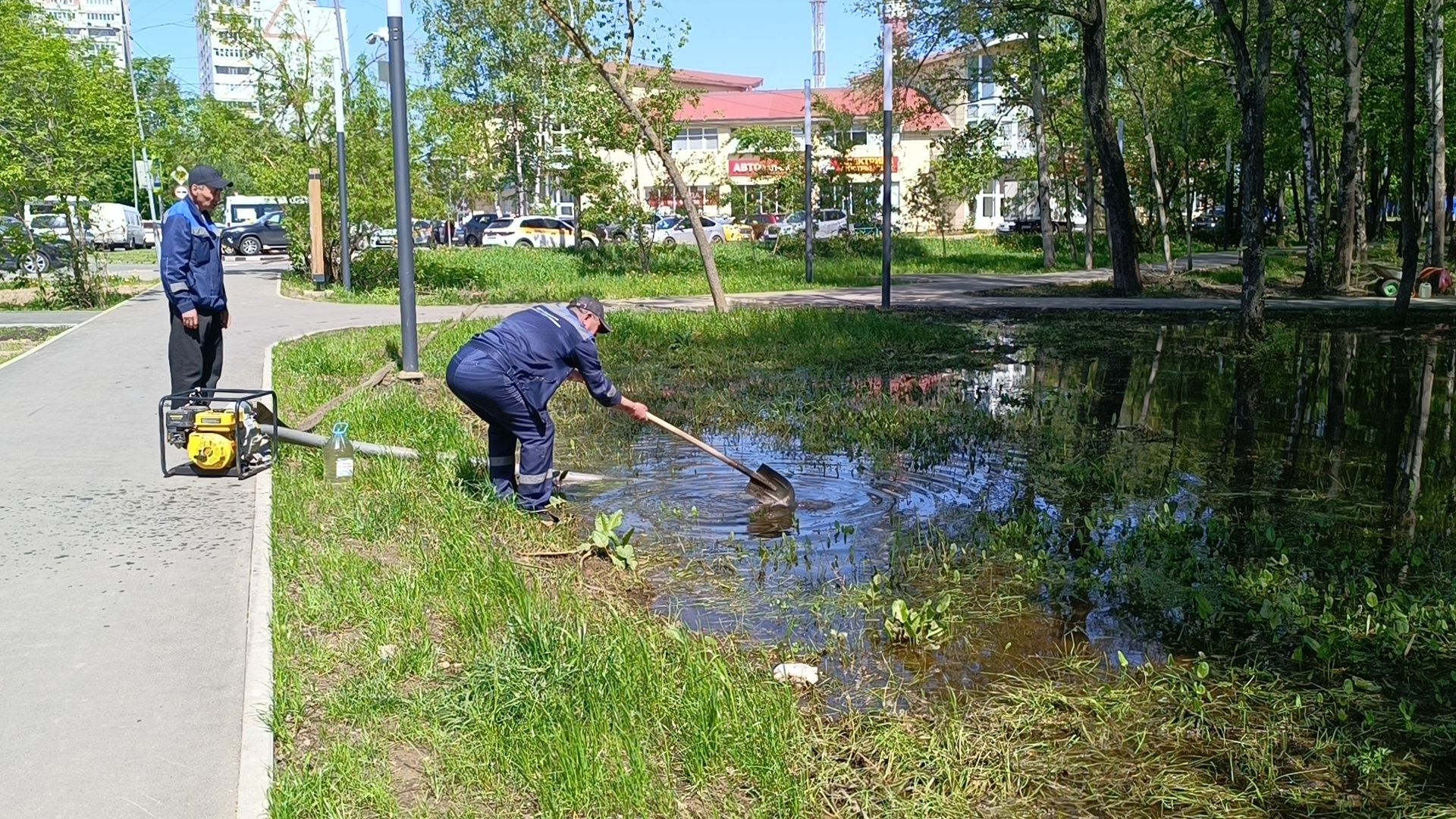 благоустройство, парк, лобня,