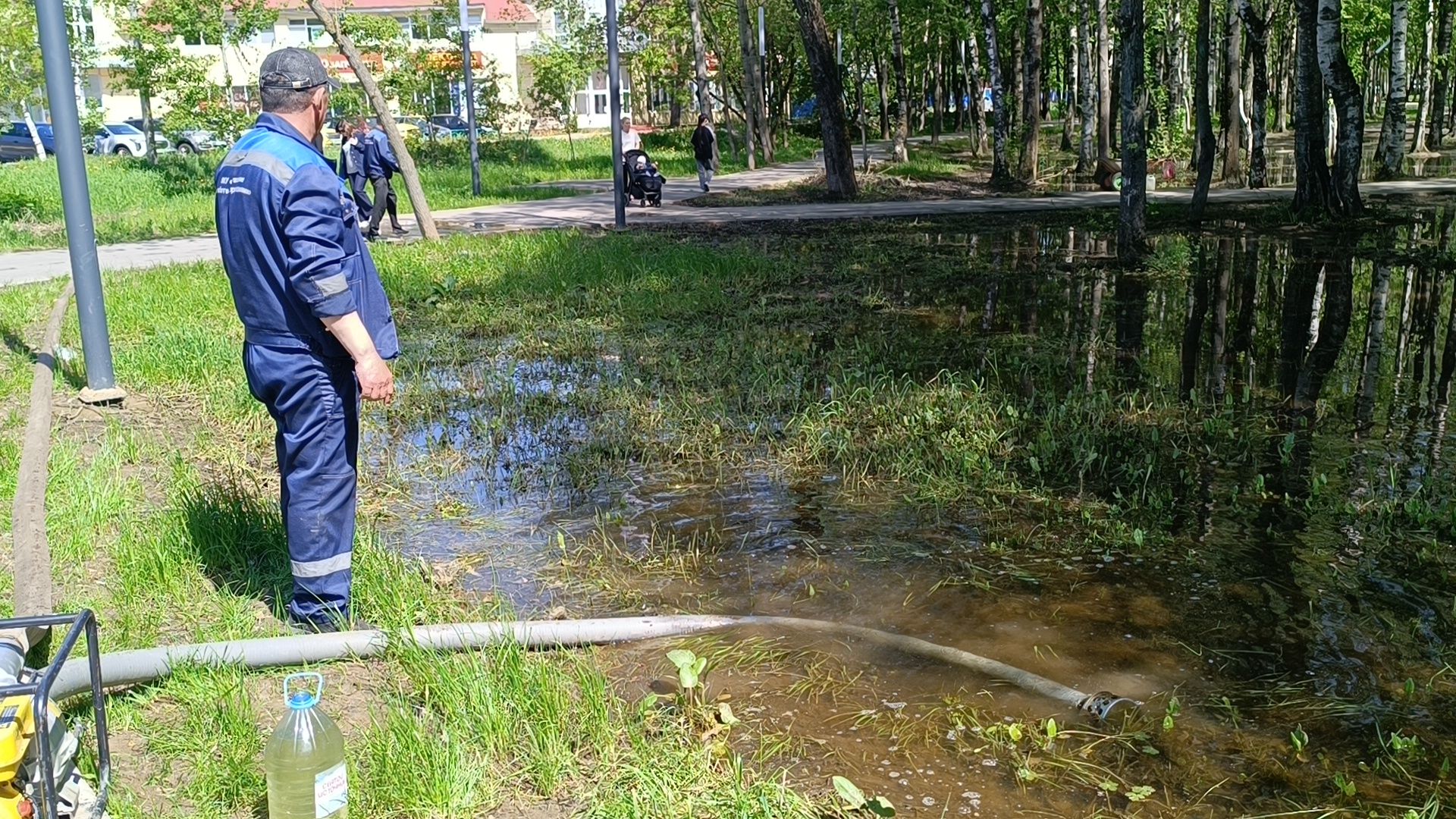 благоустройство, парк, лобня,