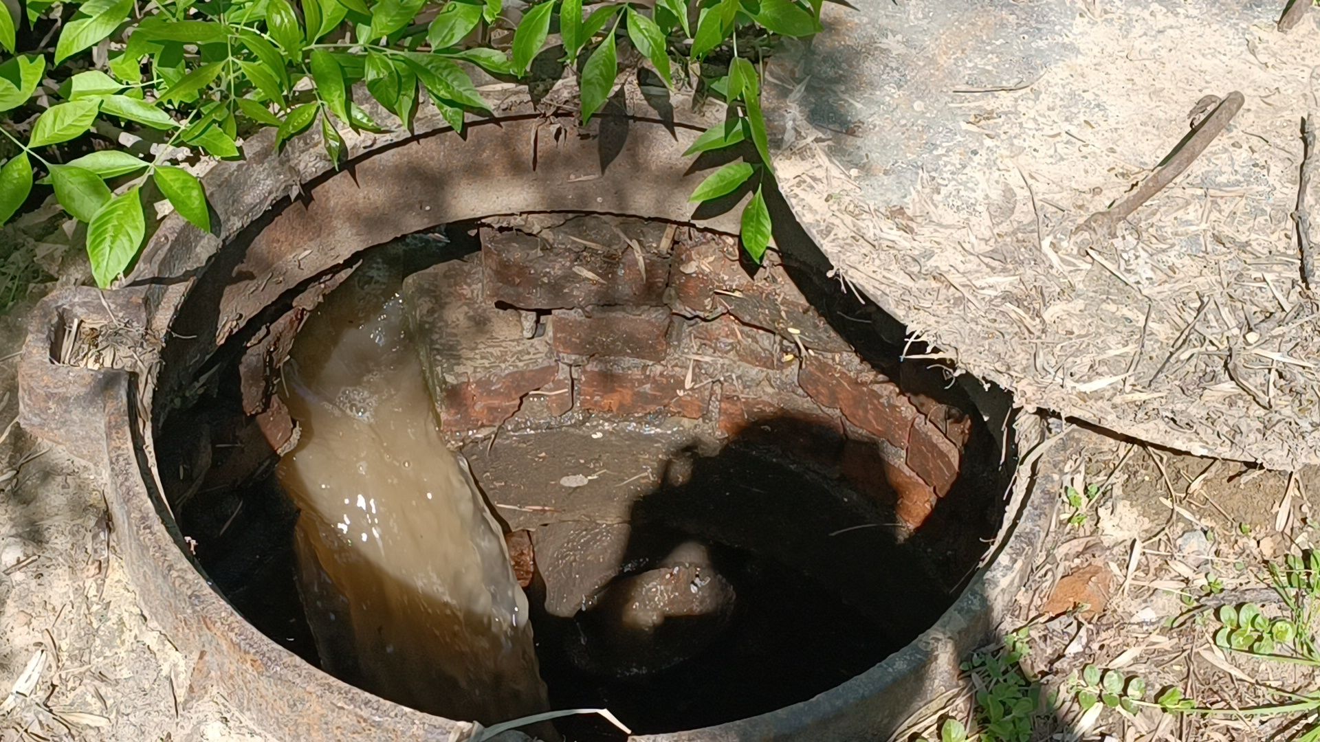 благоустройство, парк, лобня,