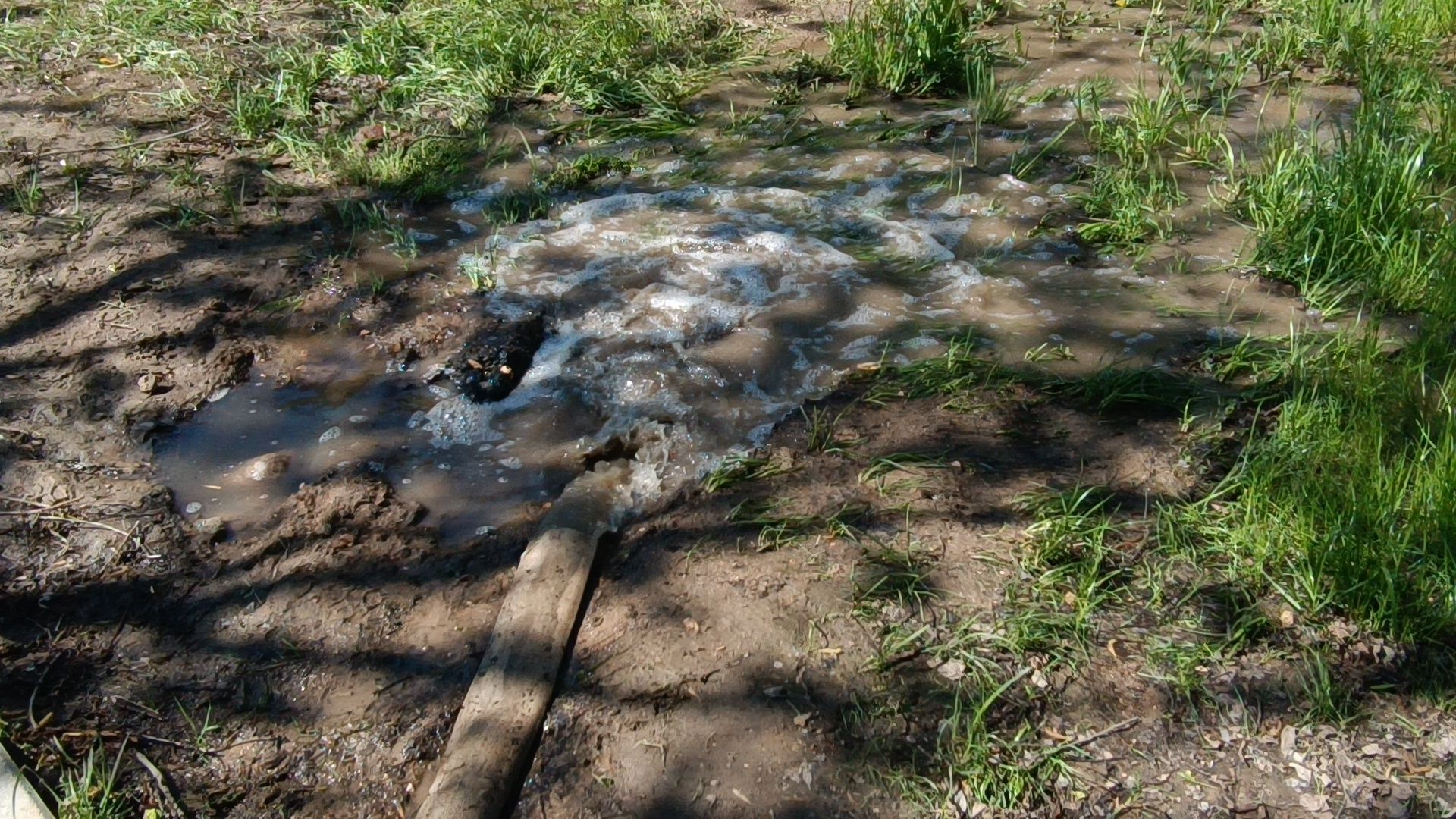 благоустройство, парк, лобня,