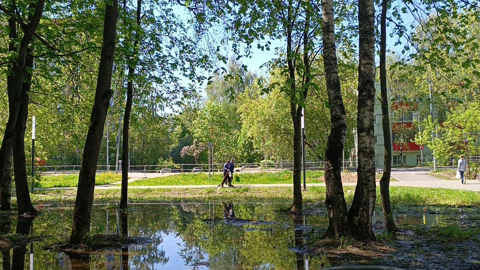 благоустройство, парк, лобня,