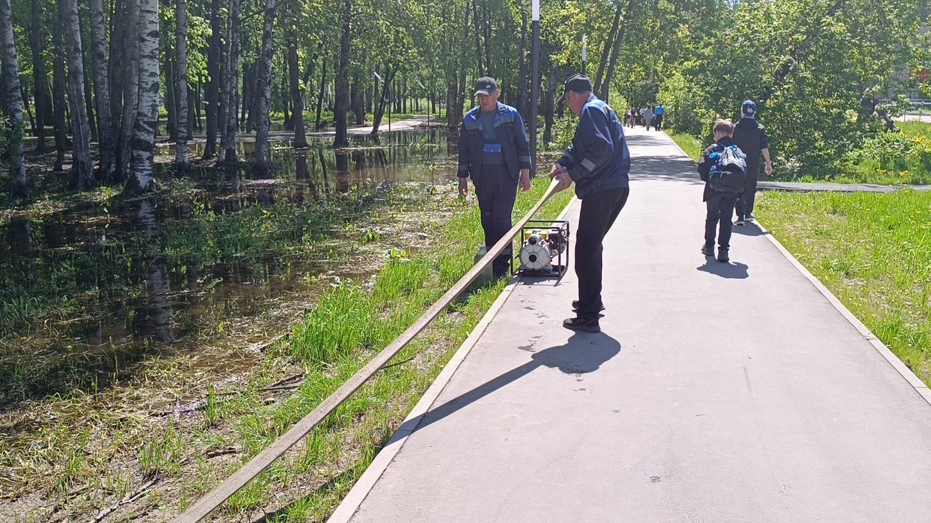 благоустройство, парк, лобня,