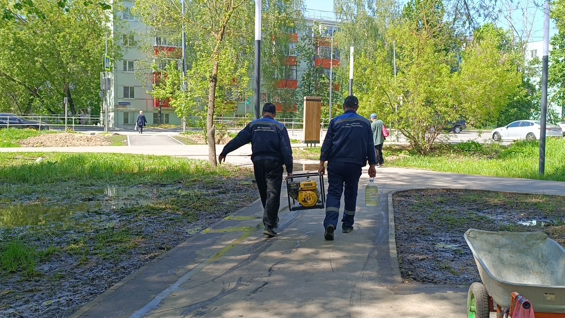 благоустройство, парк, лобня,