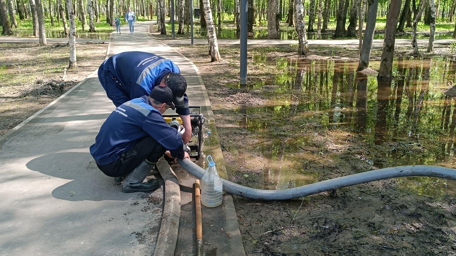 благоустройство, парк, лобня,