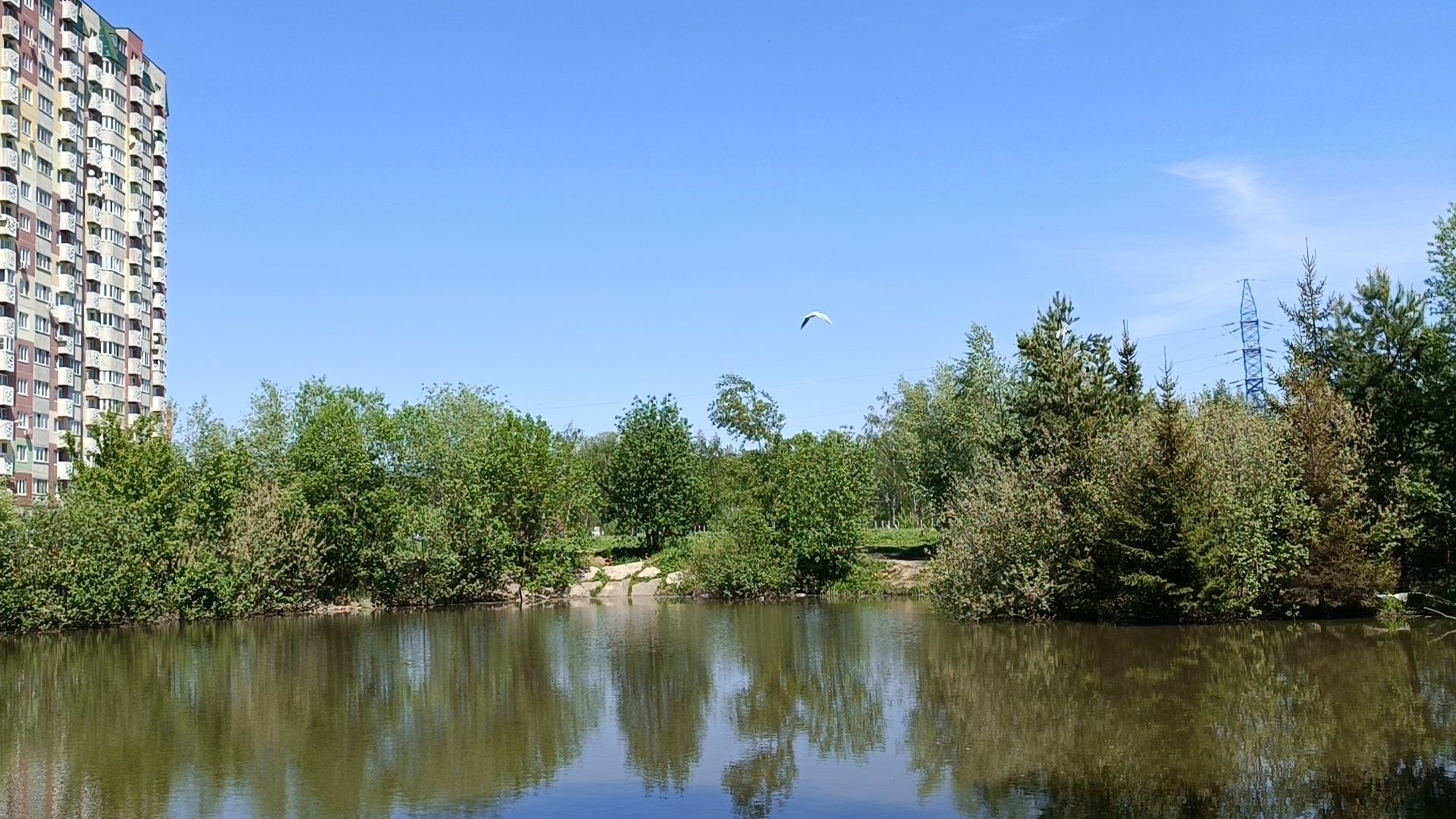сквер, лобня, строительство,