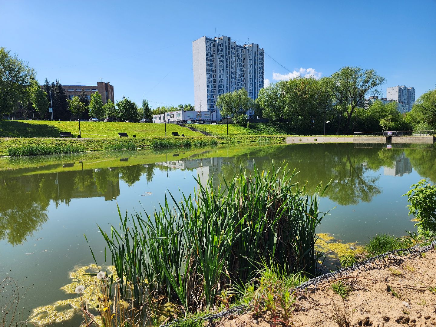 серпухов, пруд у МСЧ-8, водолазы в серпухове, спасатели юпитер, улица весенняя,