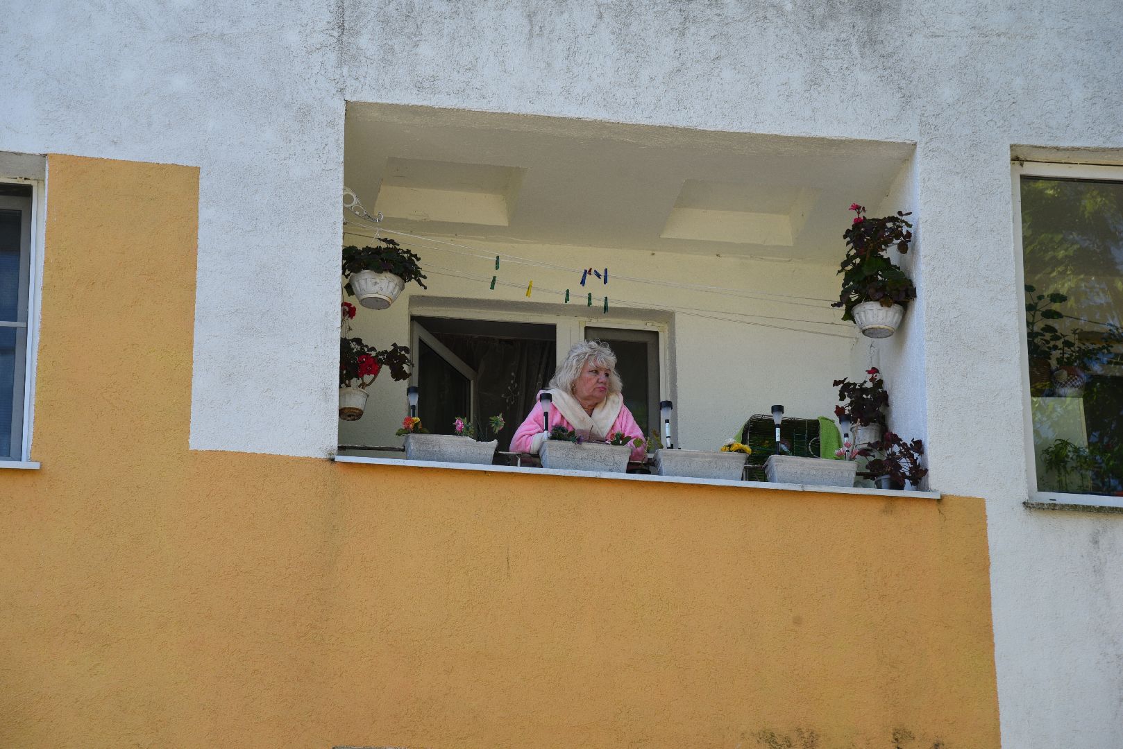 лотошино, добродел, обращение жителей, благоустройство, жкх,