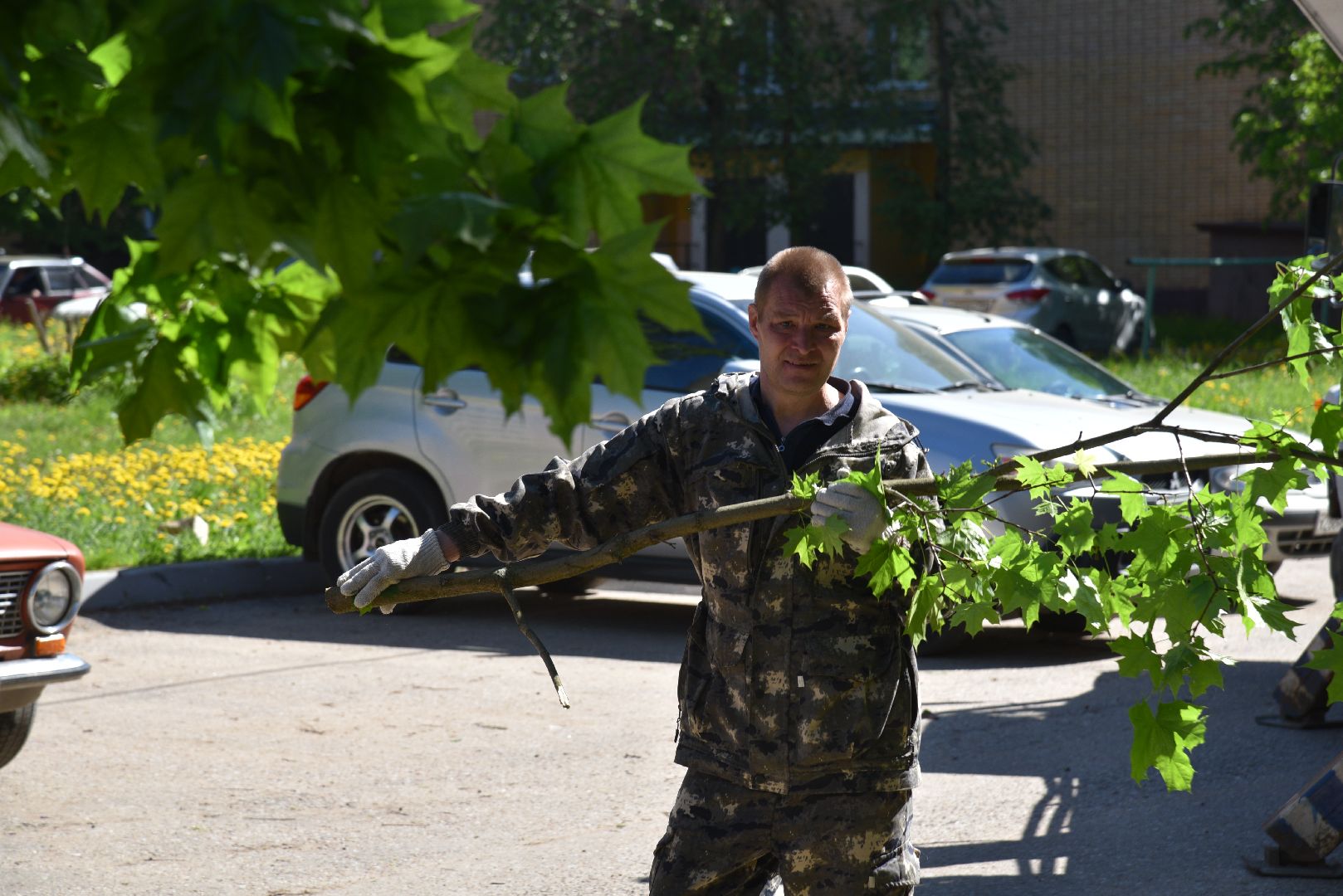 лотошино, добродел, обращение жителей, благоустройство, жкх,
