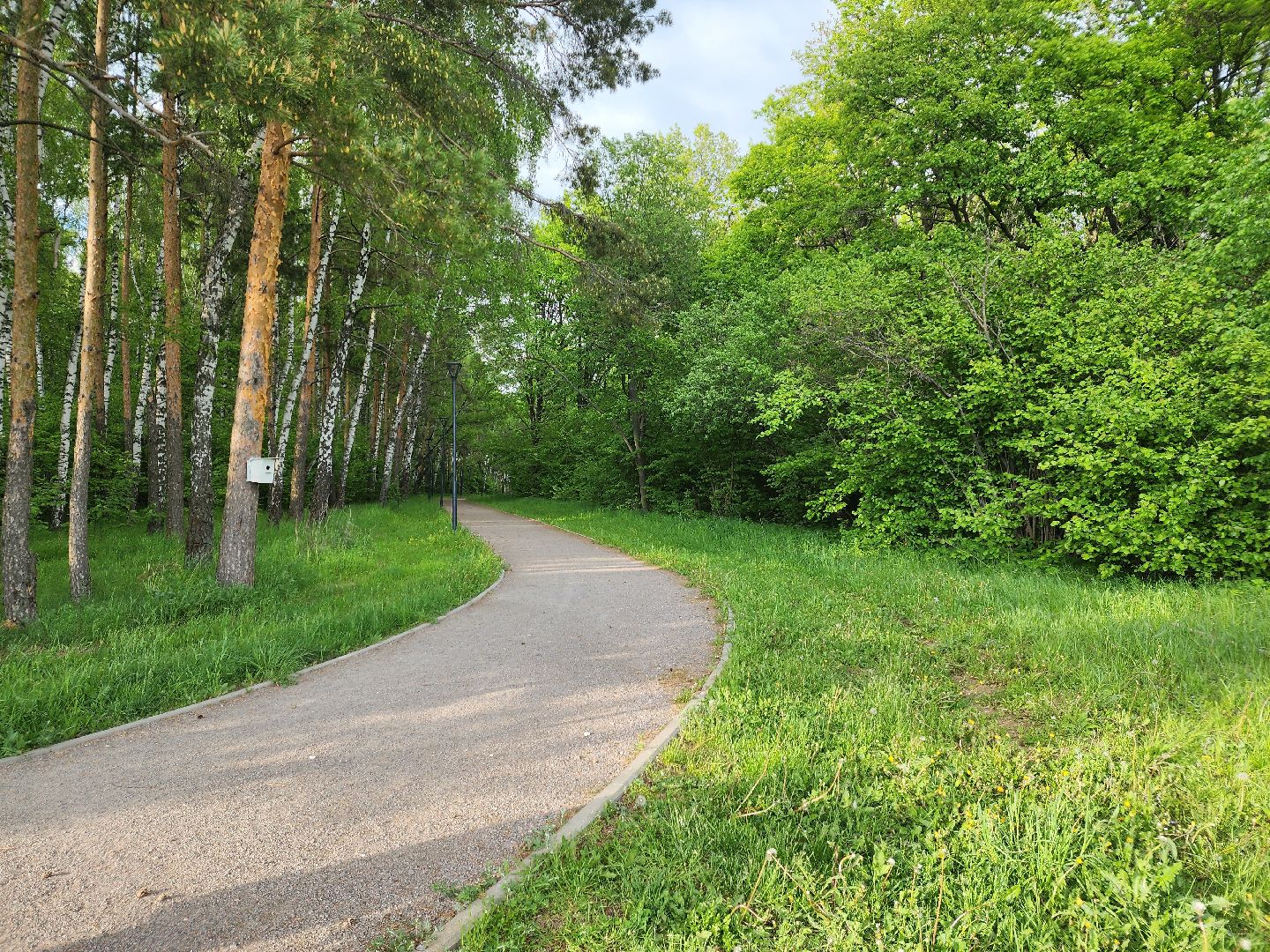 Зарайск, Благоустройство, Онлайн-голосования,