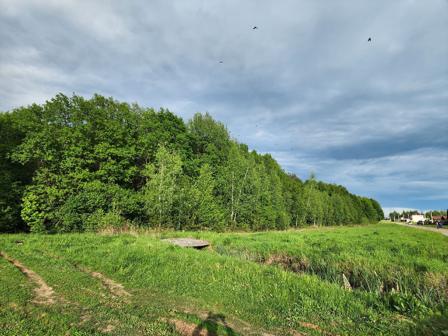 Зарайск, Благоустройство, Онлайн-голосования,