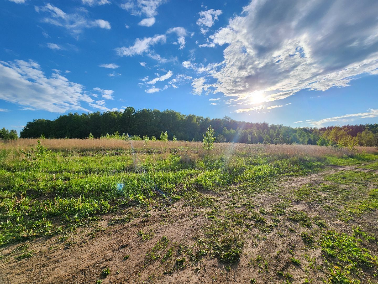 Зарайск, Благоустройство, Онлайн-голосования,
